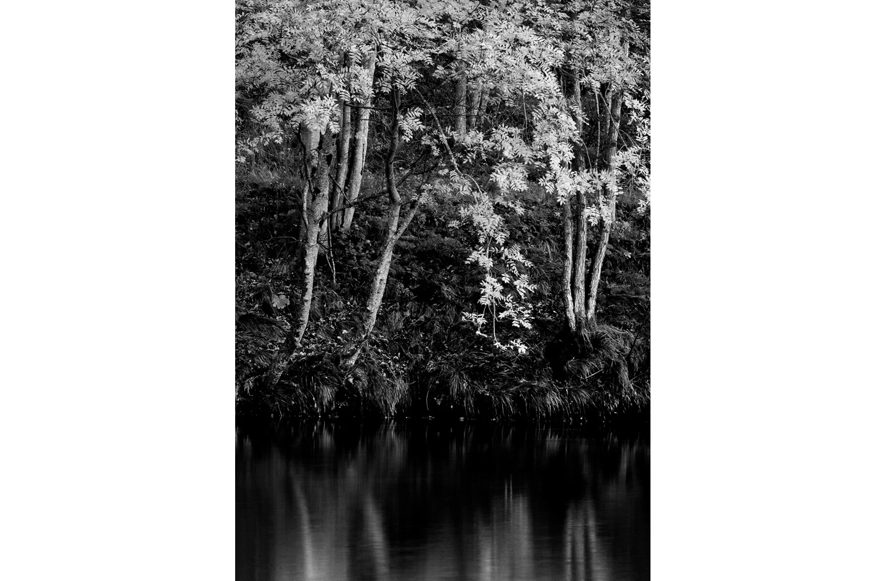 SILVER ROWAN