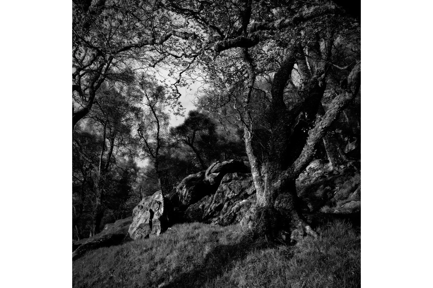 CRAIG TIRIBEG SILVEN.