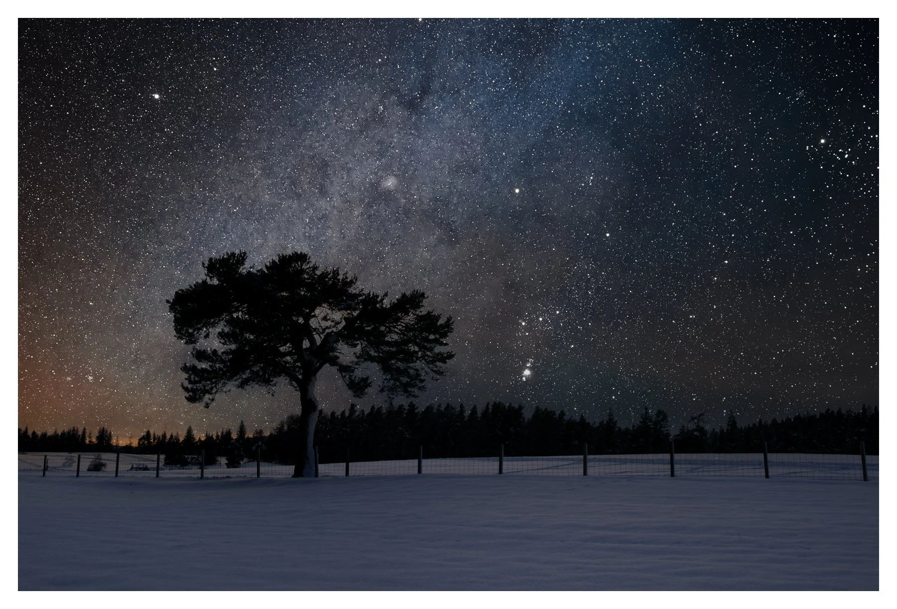 PINE GALAXY