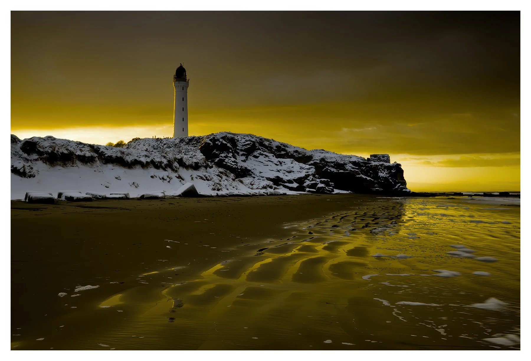 WINTER GOLD