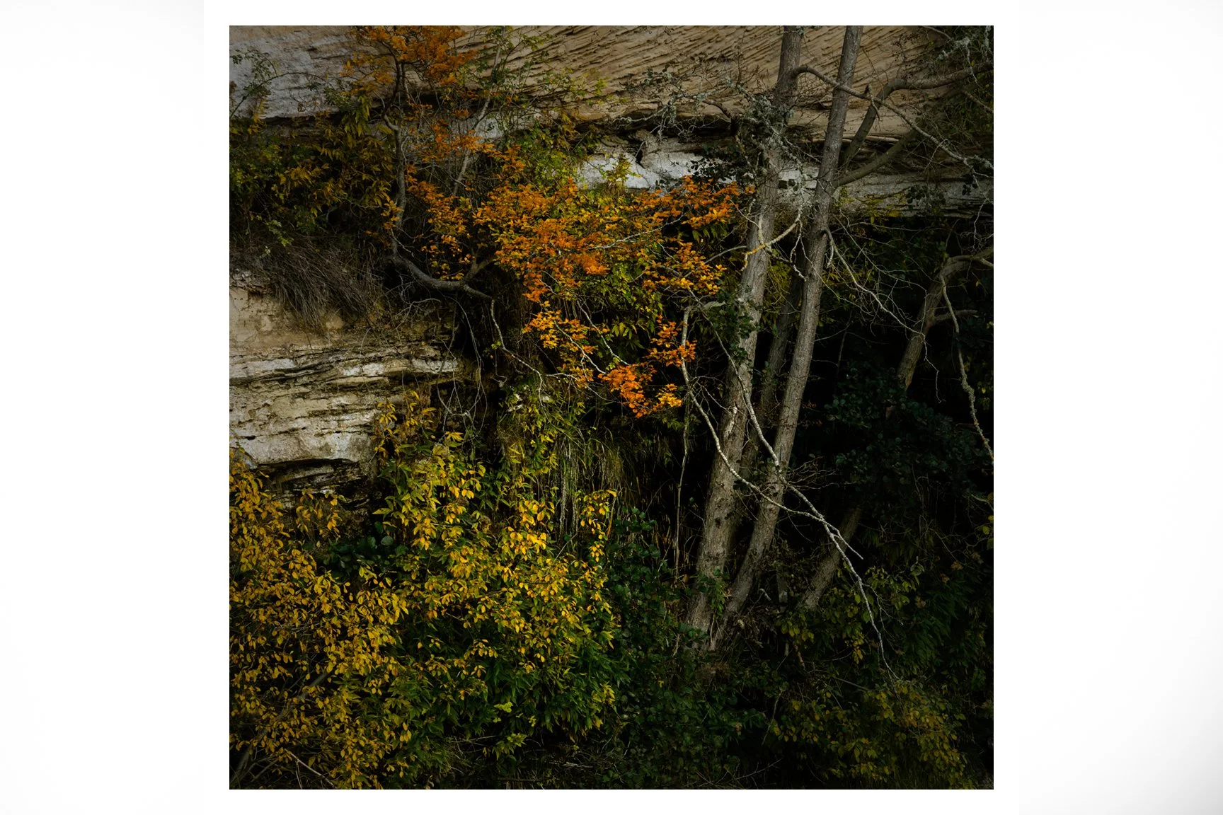HUES