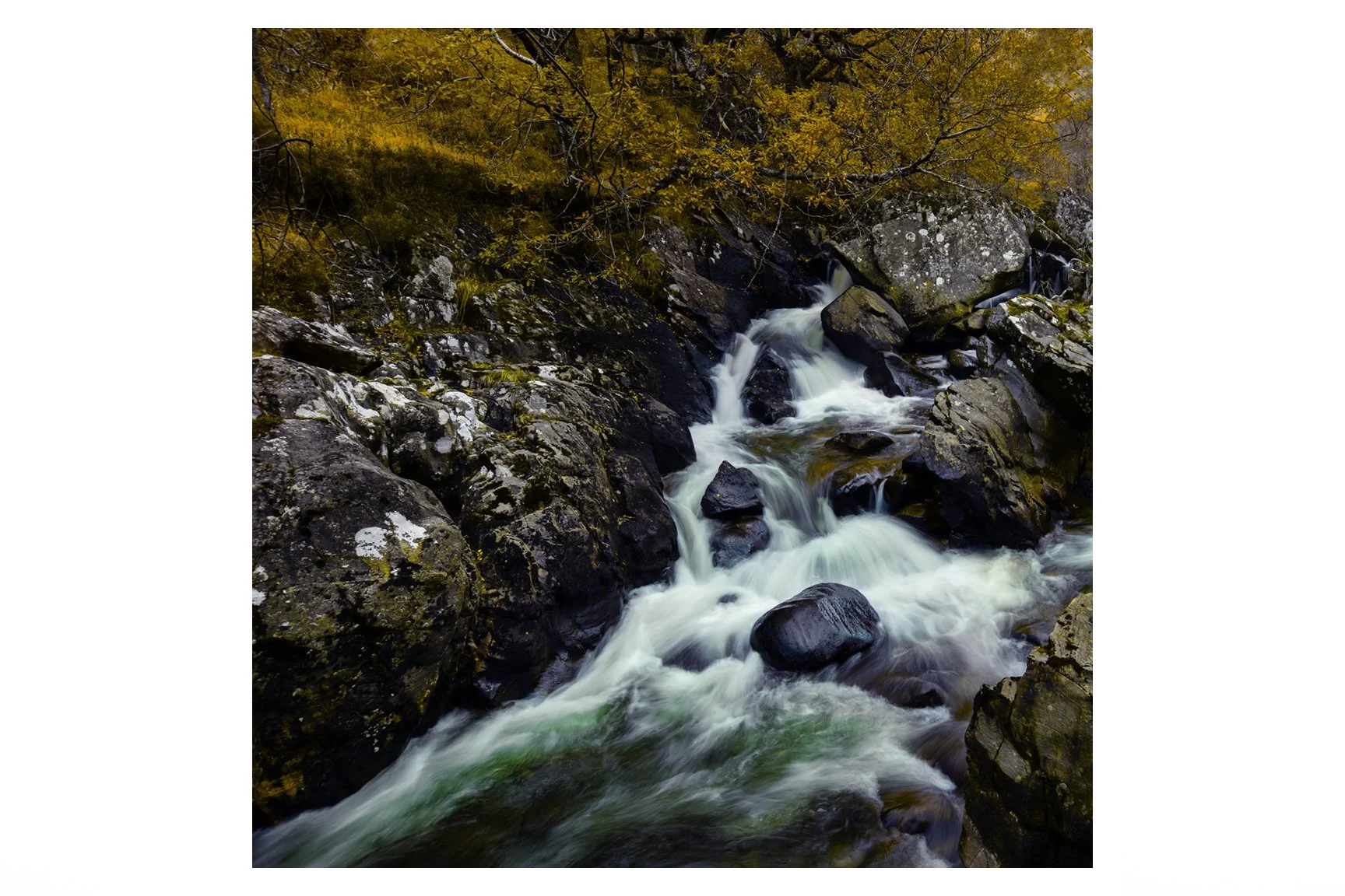 AUTUMN NEVIS