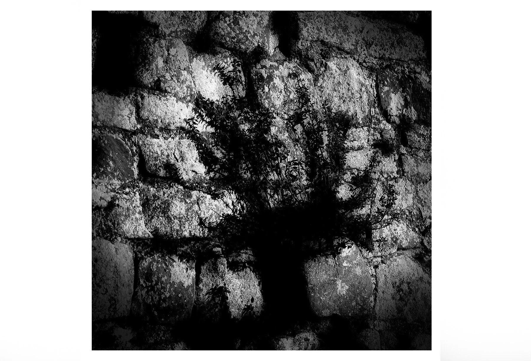 ISMACD0612-STONEBREAKER copy.jpg