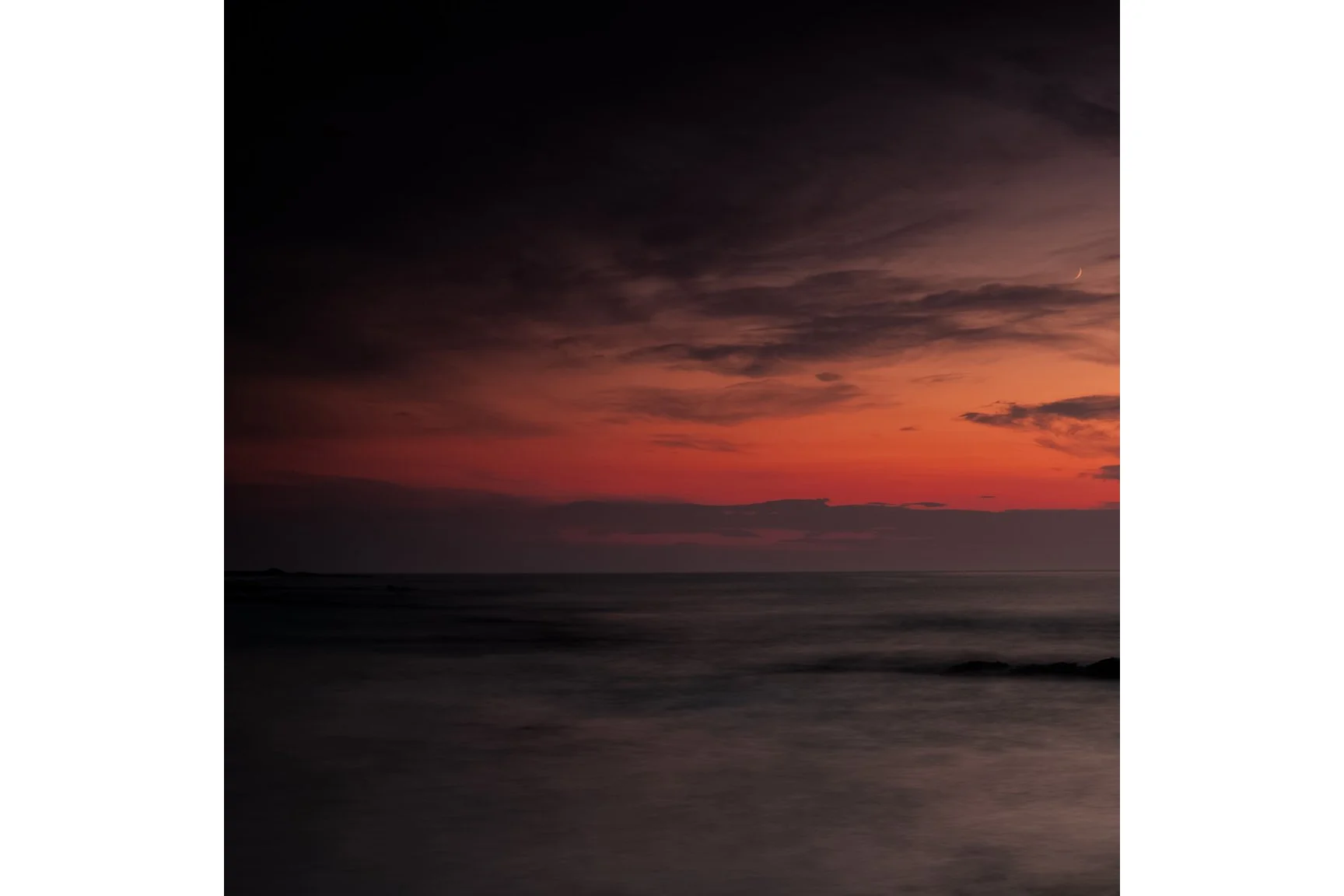 ROSE  TIDE