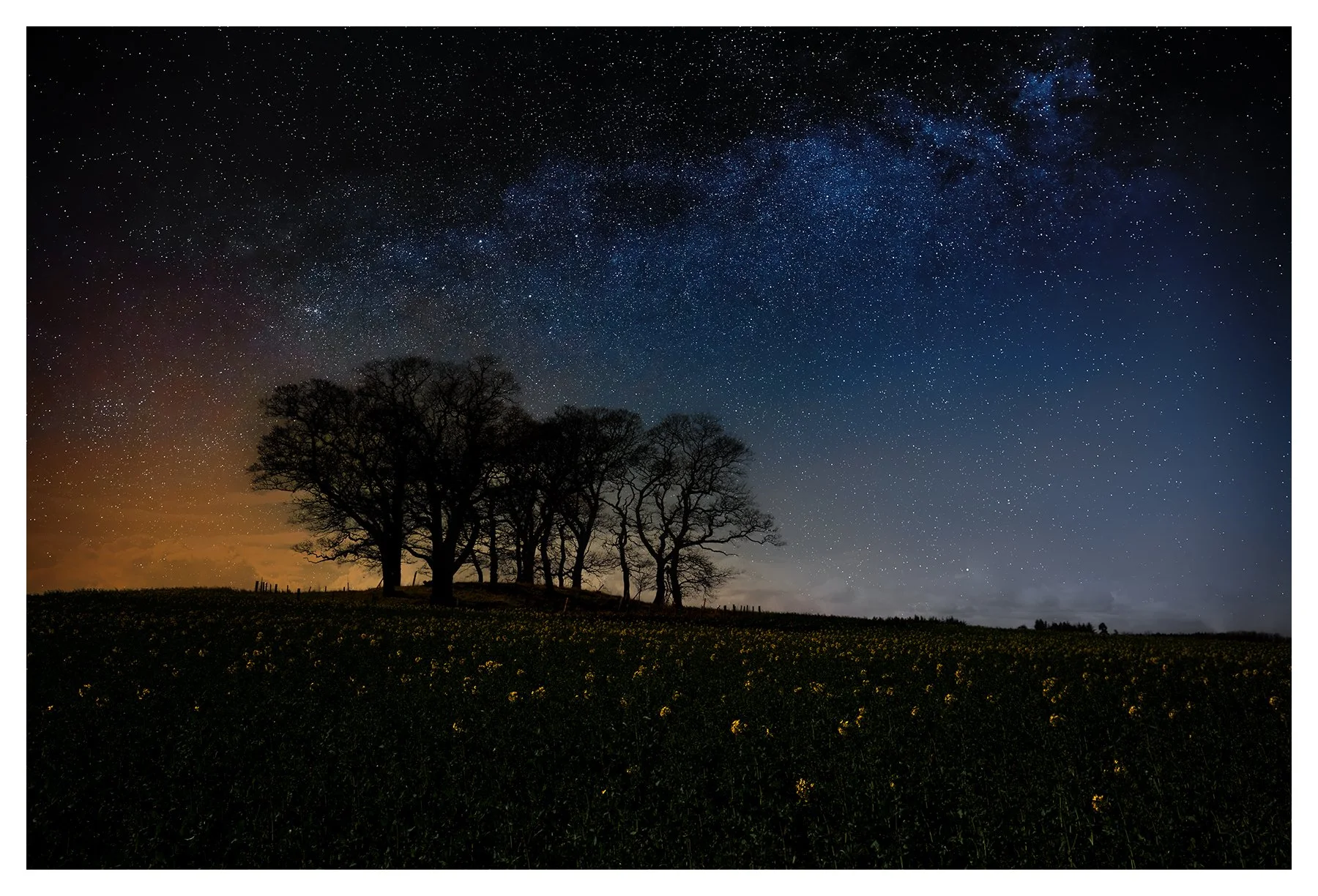 ISMACD_F8A4224 - BEECH  STARS copy 2.jpg