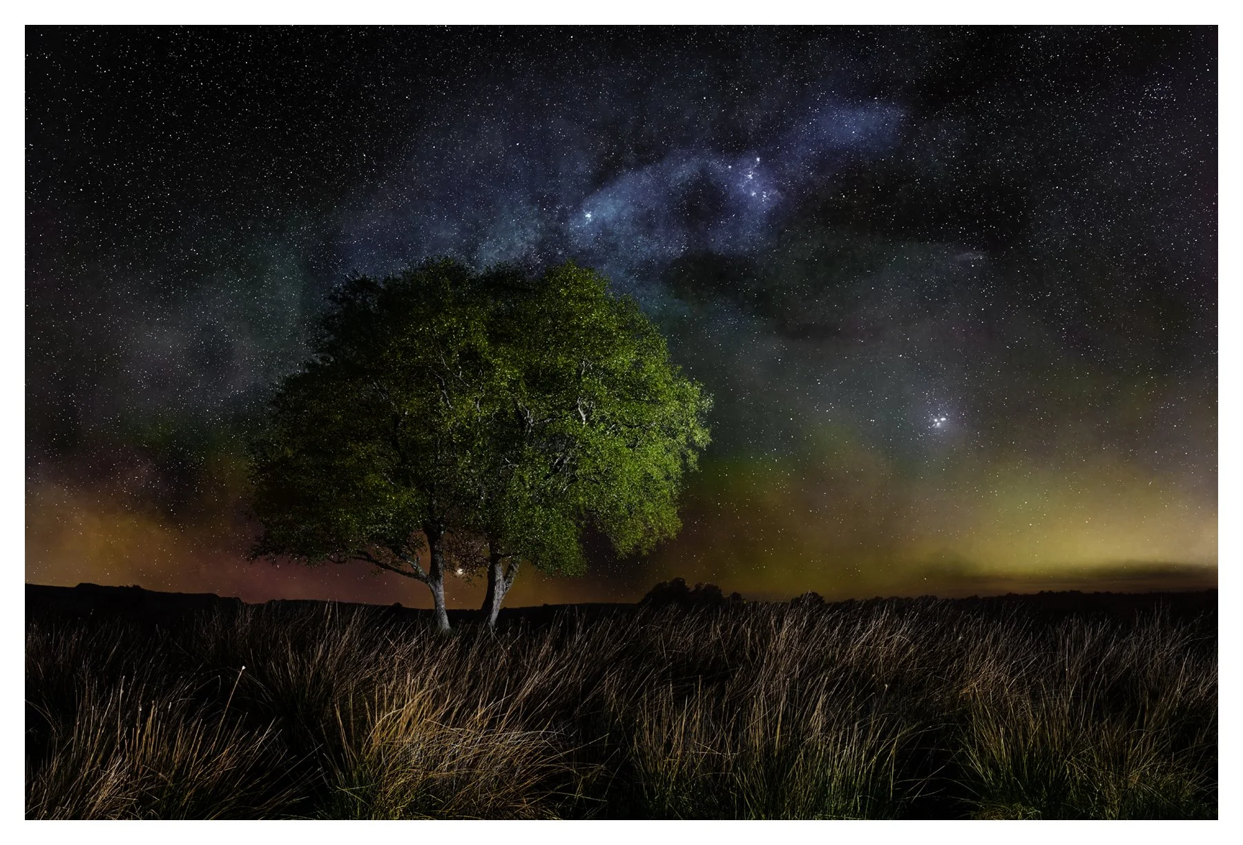 ANCESTRAL DREAM