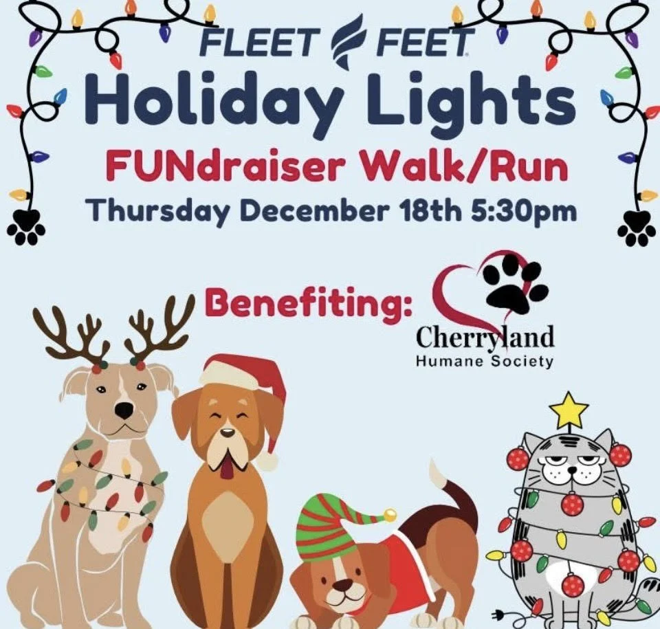 Holiday Lights FUNdraiser Run/Walk