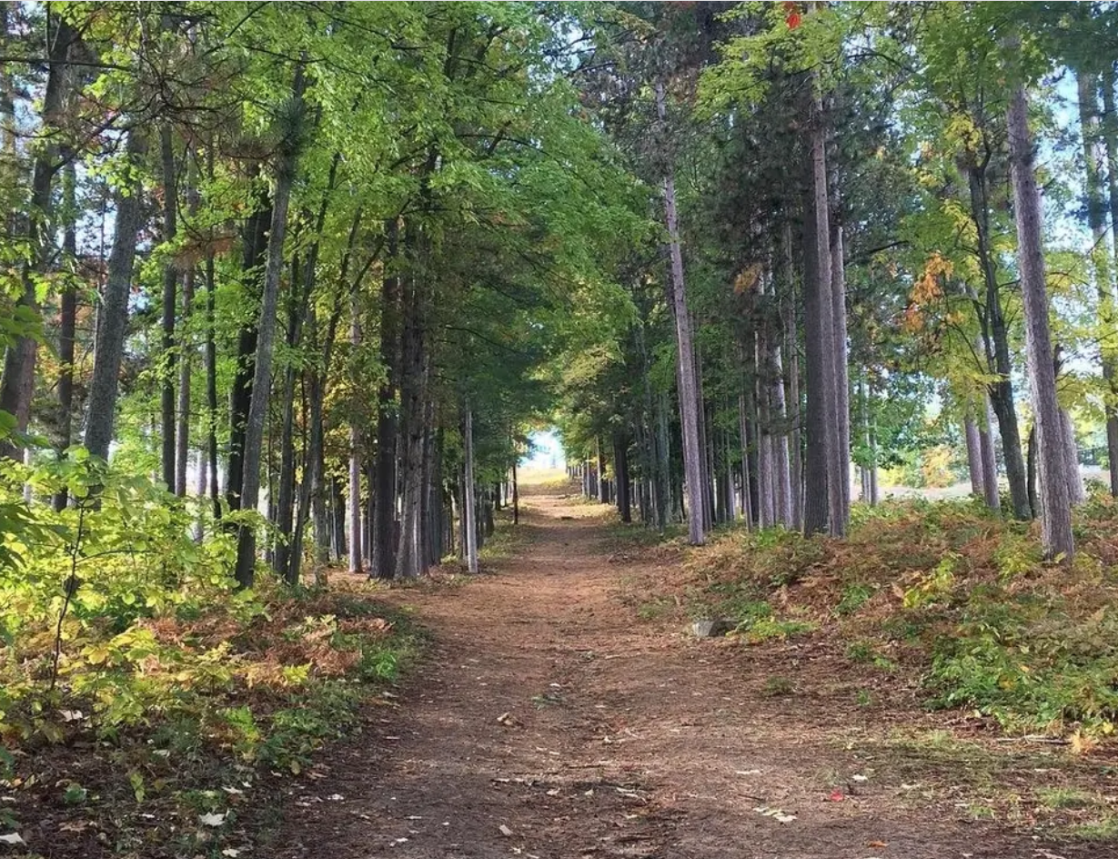 Mt. Holiday Trail Running Series Kick Off