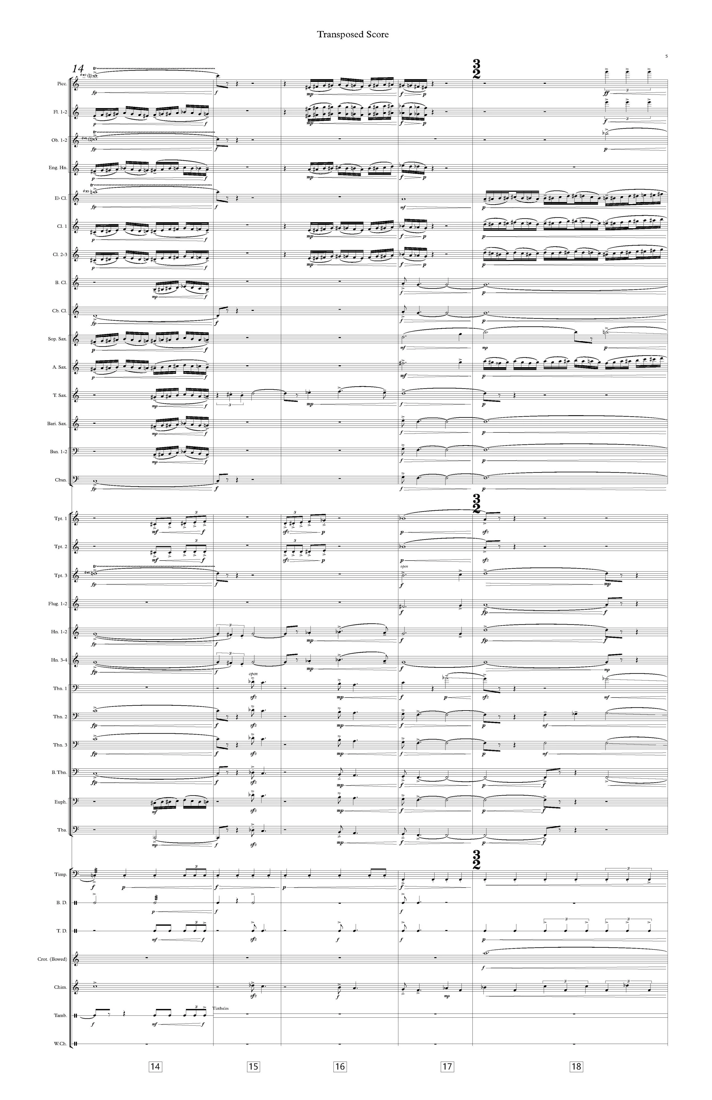 Echoing Flares 1.0 2019s (Final Score)_Page_05.jpg