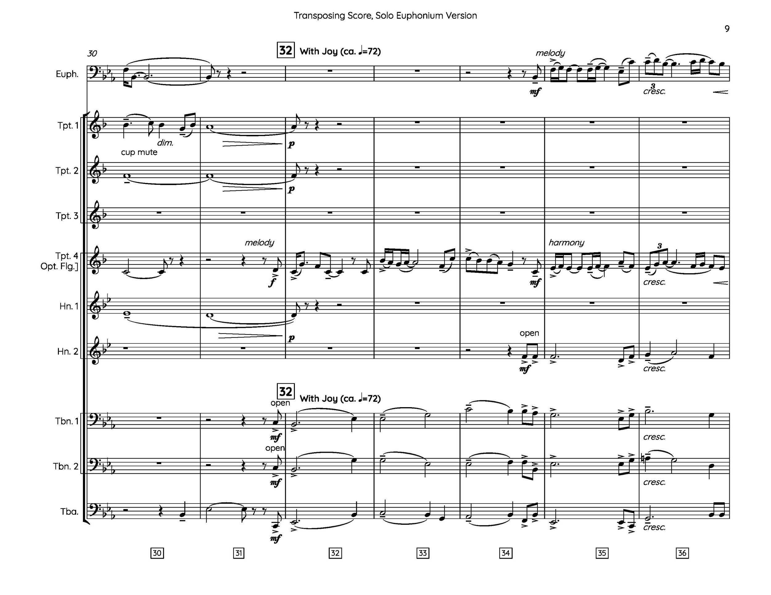 v1.0 Radiant Ascent - Transposing Score, Solo Euphonium Version_Page_09.jpg