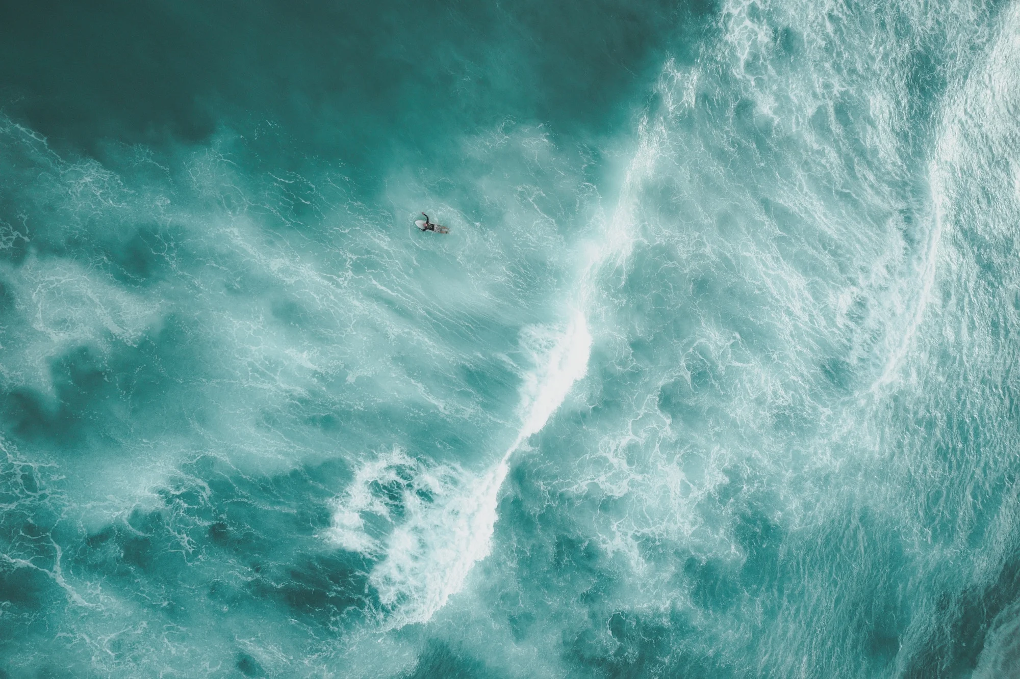 Photo by Sam Wermut on Unsplash