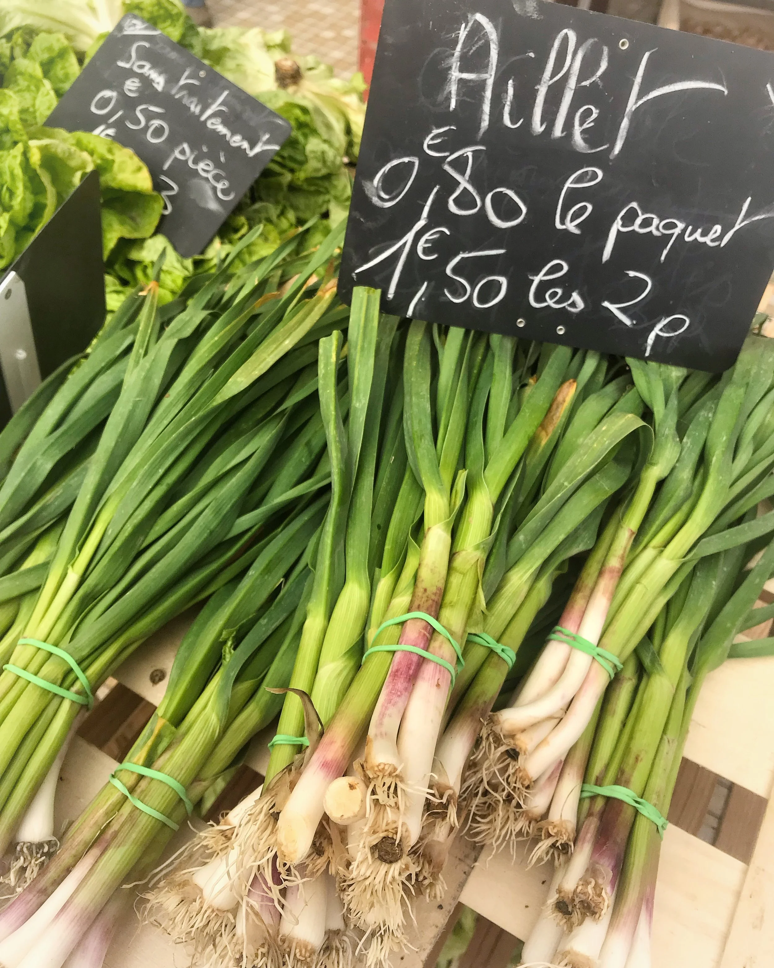 Fresh Spring Garlic Shoots- Aillets
