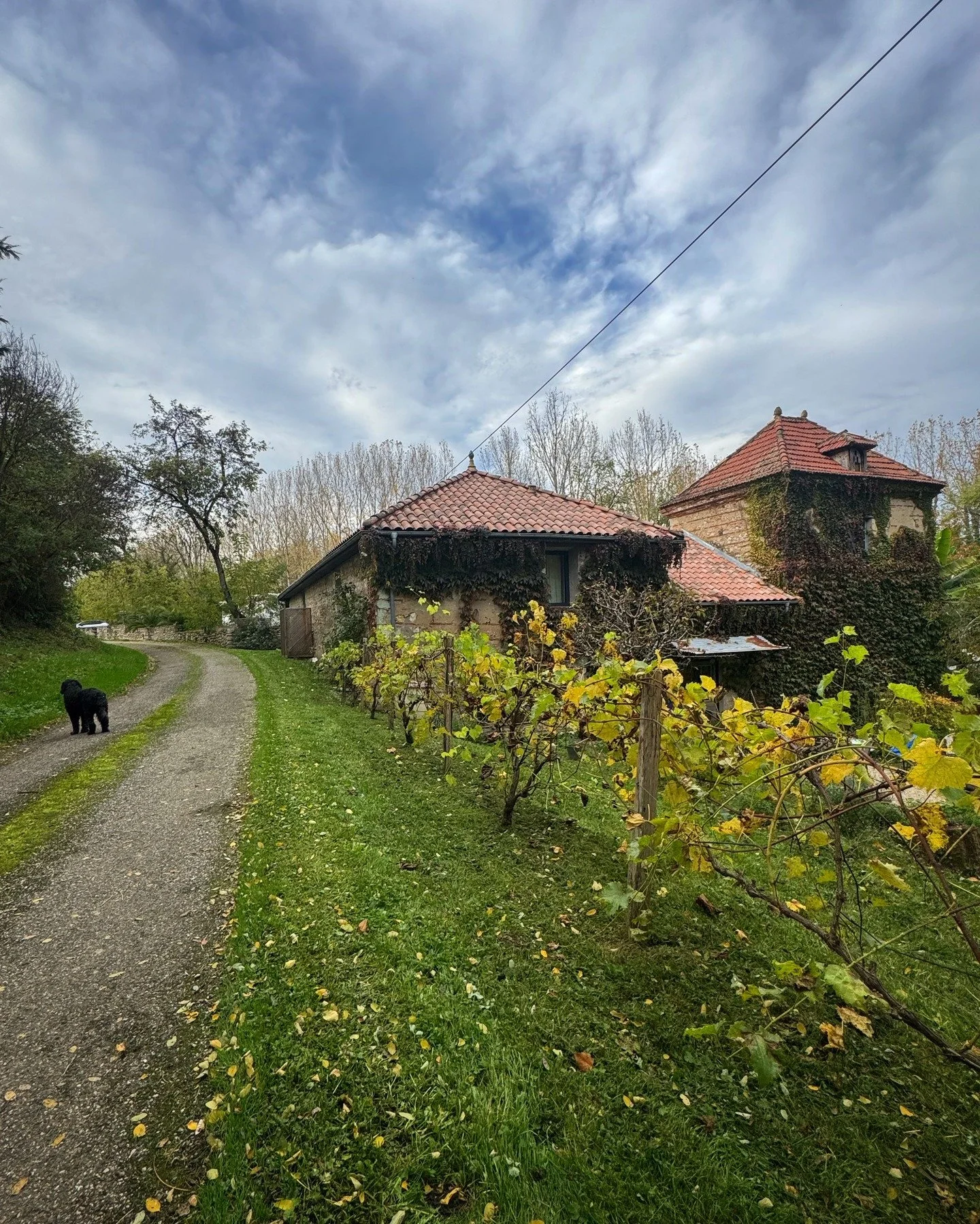 November skies over the Relais de Camont Gascony, France. 

We are now taking applications for 2026 Residencies for all writers and visual artists (limited studio space). 2026 Applications received before the Nov 29 2025 deadline will be eligible for
