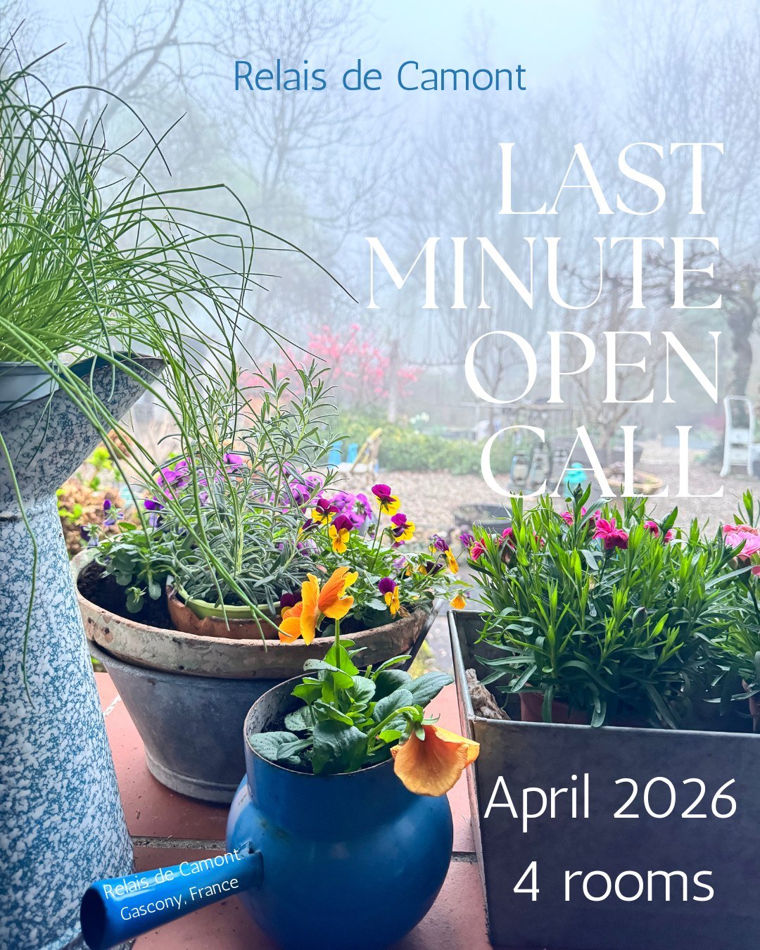 Last minute openings for Spring Writer's Residencies in SW France at the Relais de Camont:
2 rooms for 2 week residency.
2 rooms for 1 week residency.

What better time to work amidst the Spring productivity of Gascony. 

DM or message for more info.