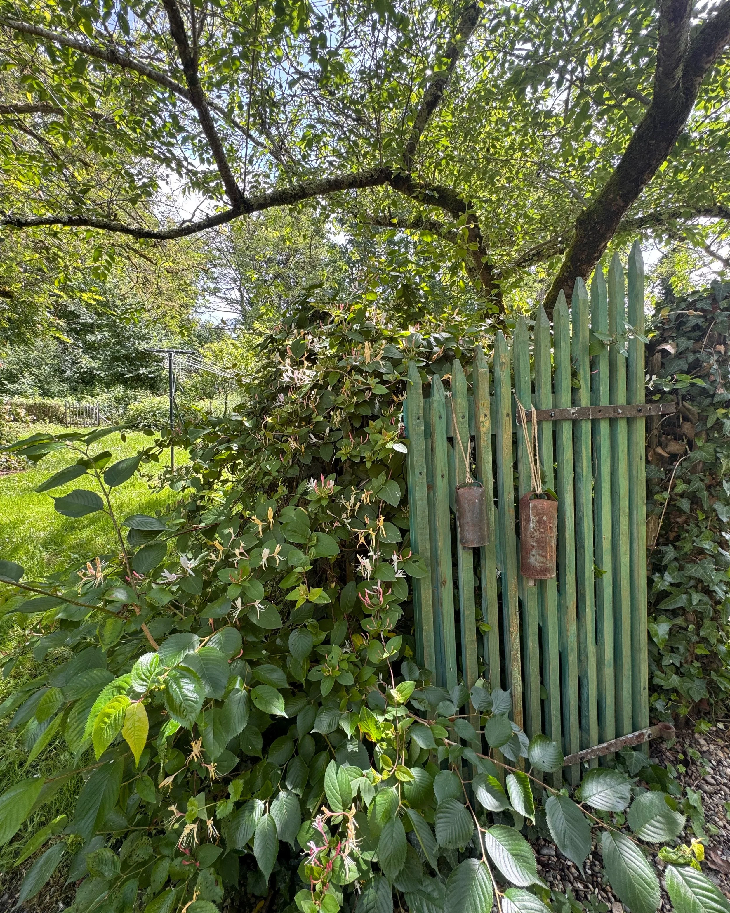 The Honeysuckle Gate leads to the garden to a shady table made from an old oak wine vat; the history of a 300 year old French Farmhouse is yours. 

Summer writing rooms are still available for those seeking a quiet respite from distraction and noise.