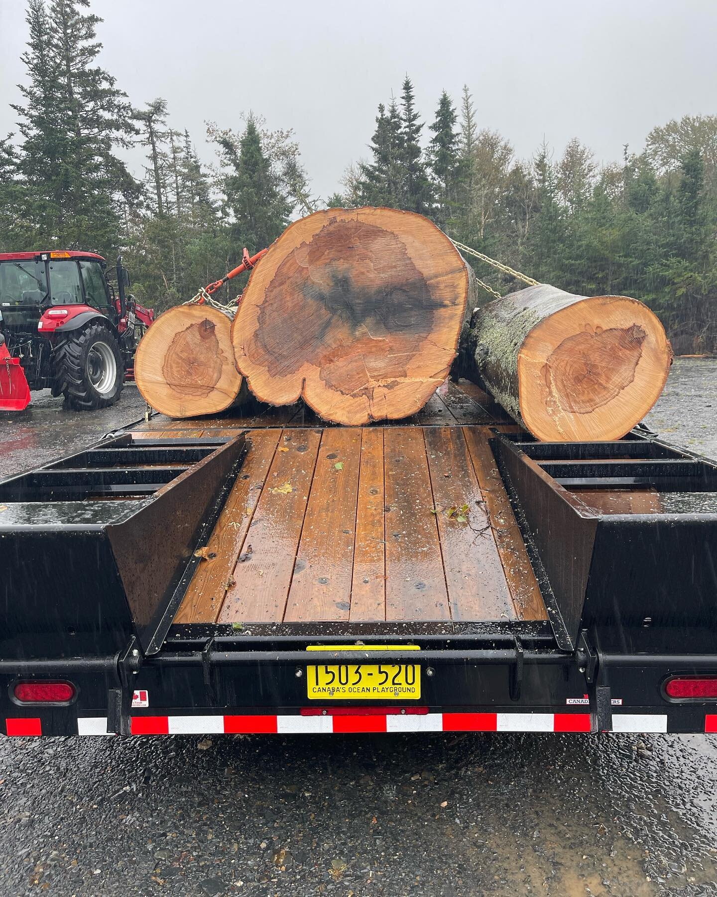 A heavy load of logs from the public gardens courtesy of #hurricanefiona and @treeworkshfx 

#sawmill #sawmillbusiness #woodpreneur #woodmizer #woodmizersawmills #nomiddleman #forestry #forestryequipment #wood #woodworking #roughcut #sustainability #