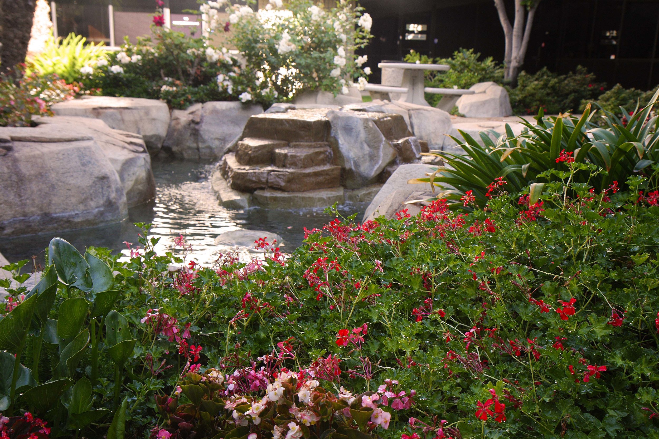 Flowers & Fountain.jpg