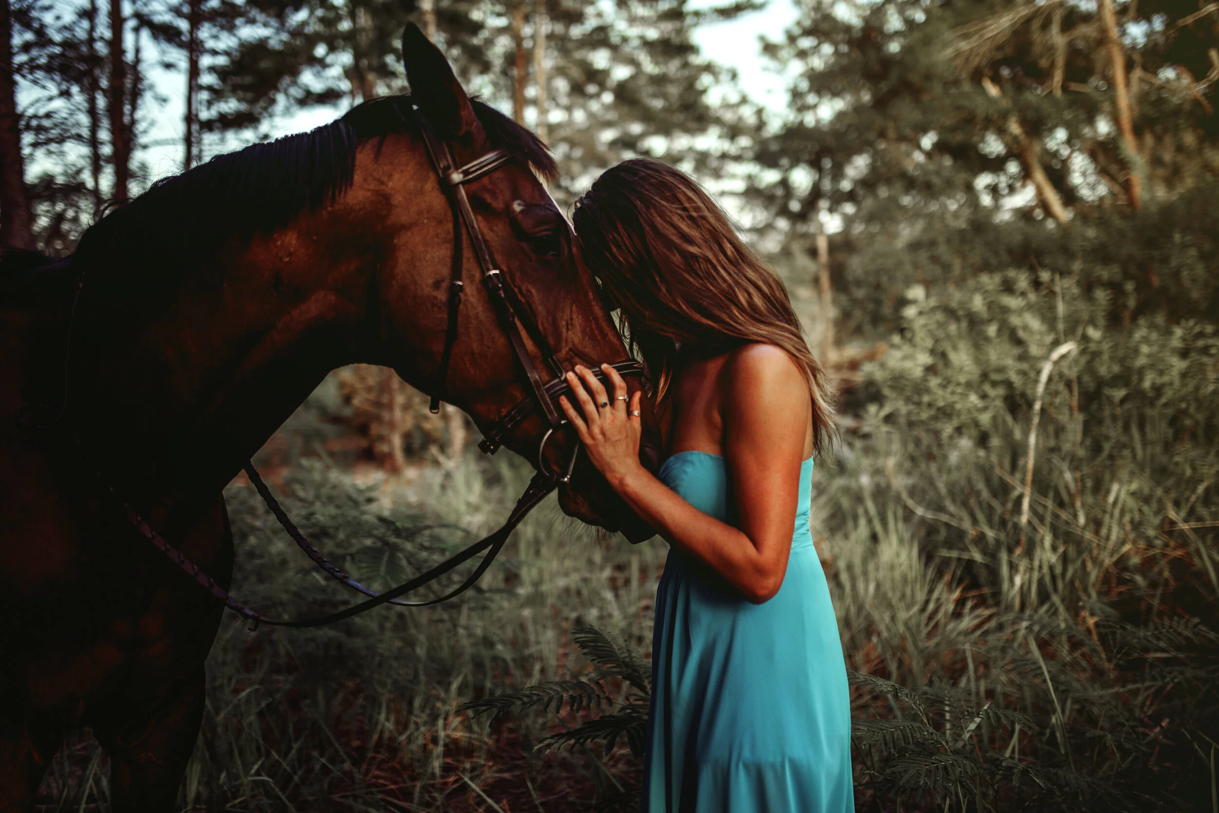 Horses are Magic