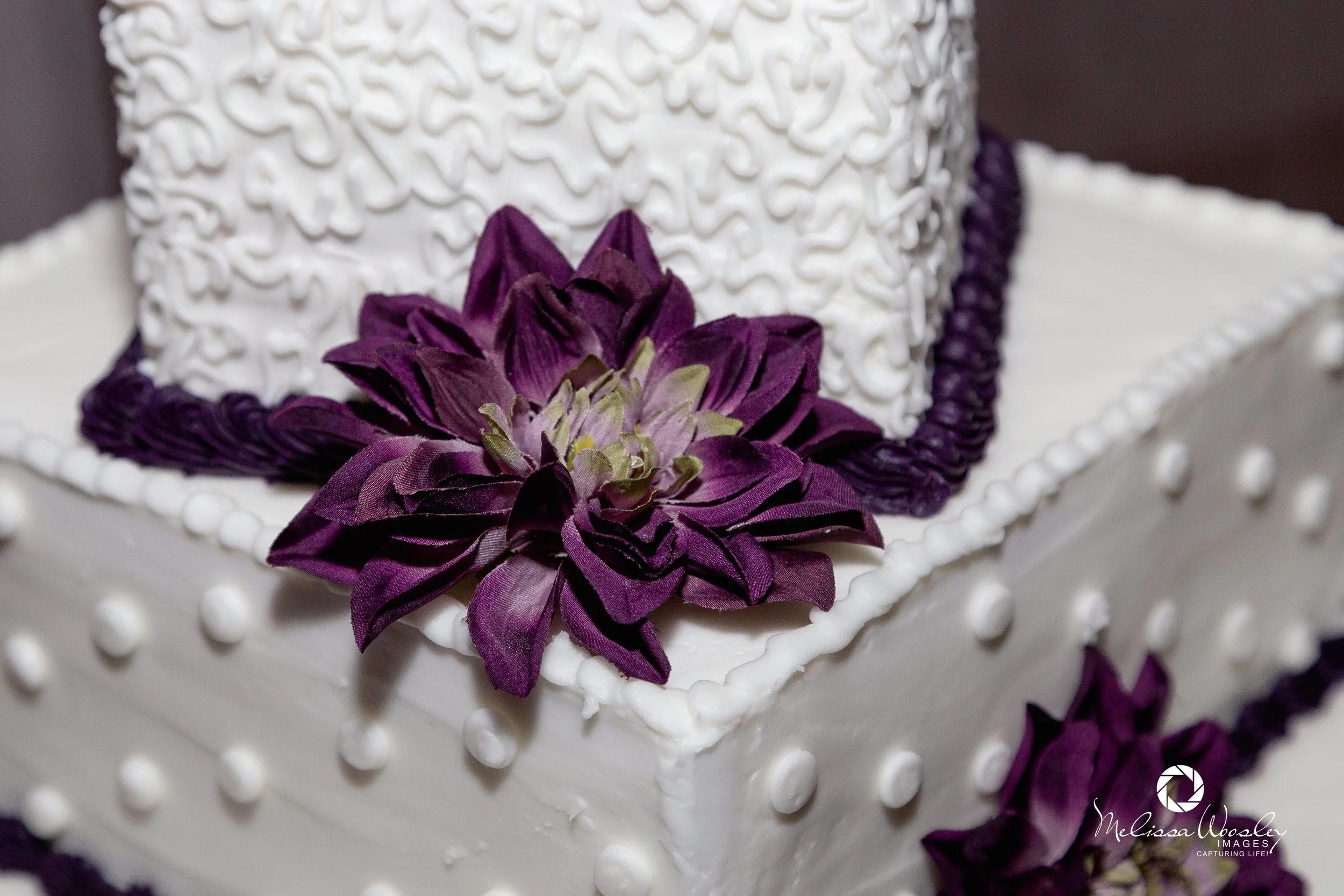 Westlake Wedding 6.9.18 MWI-283.jpg