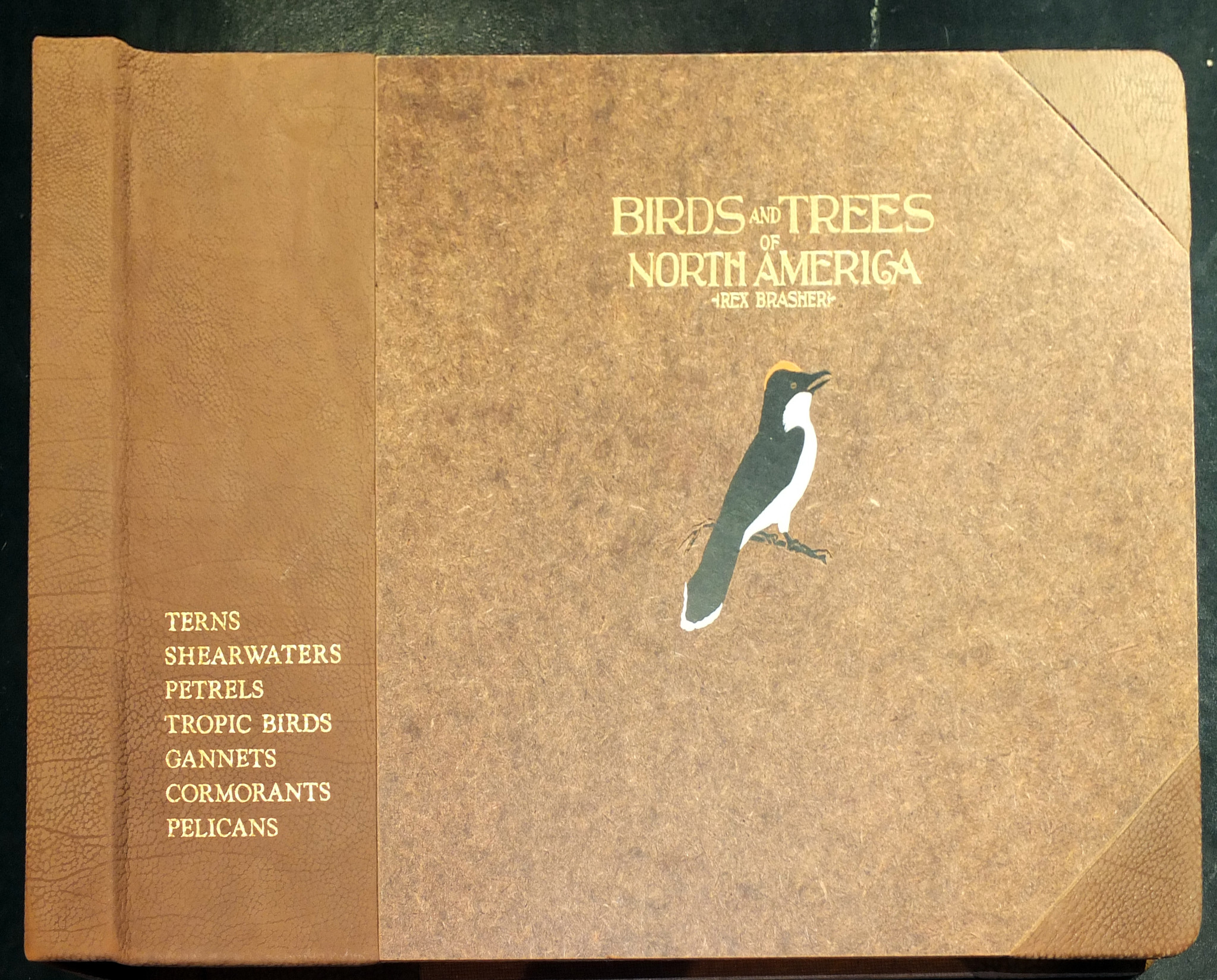 Brasher_Cover.jpg