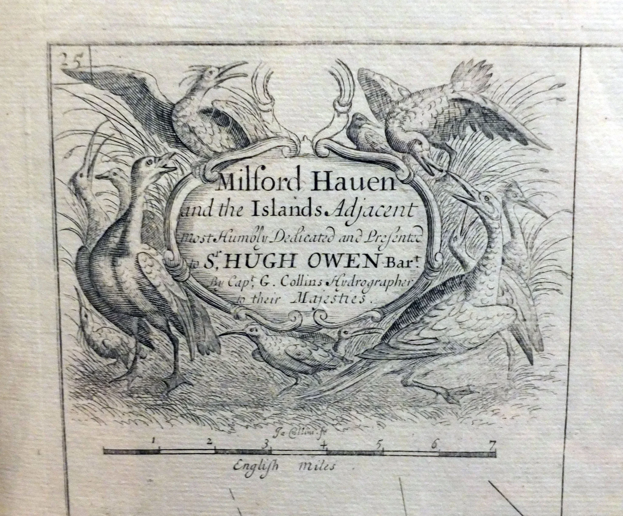 72TM009_CollinsMilfordHaven_Detail.jpg