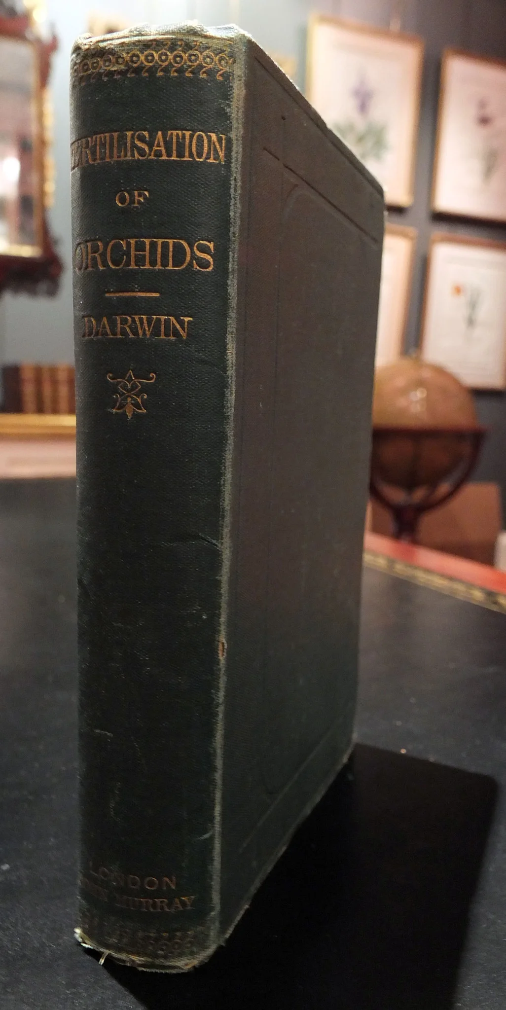 72TM002_DarwinOrchids_Cover.jpg