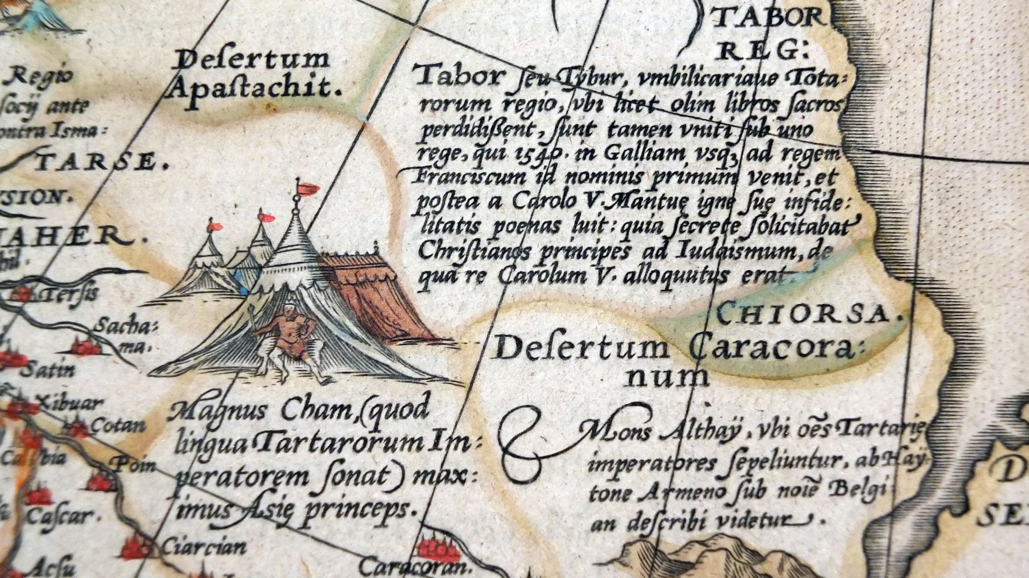 72TM015_OrteliusTartariae_Detail.jpg