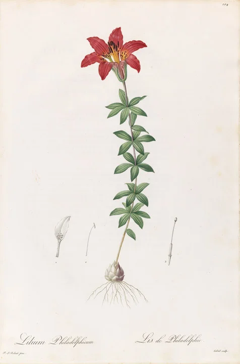 R_104.jpg