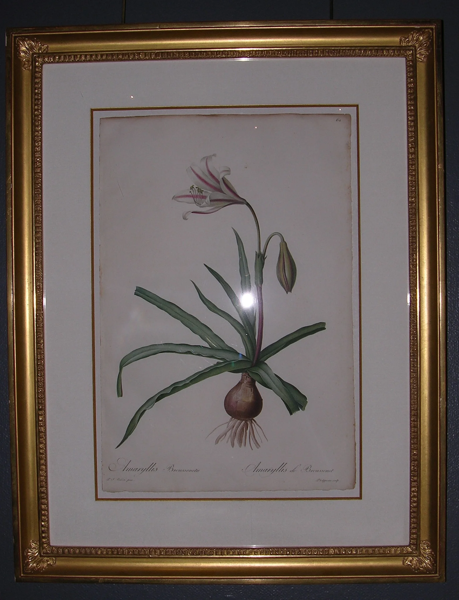 72MMS139.jpg
