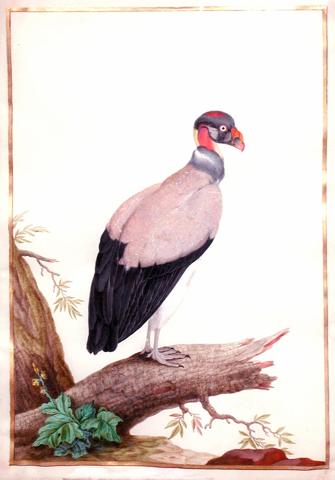vulturewebsite.jpg