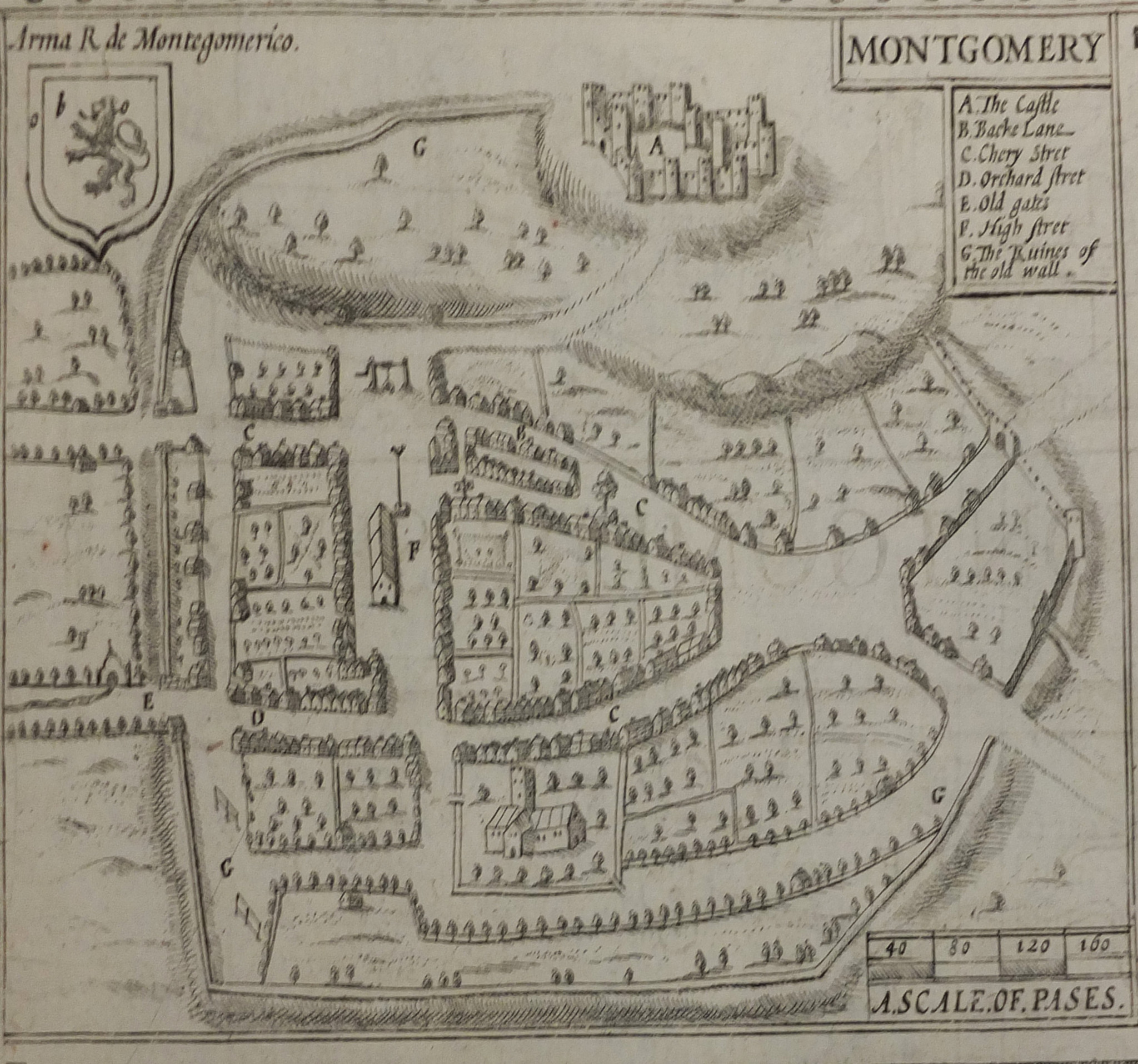 mont2.jpg