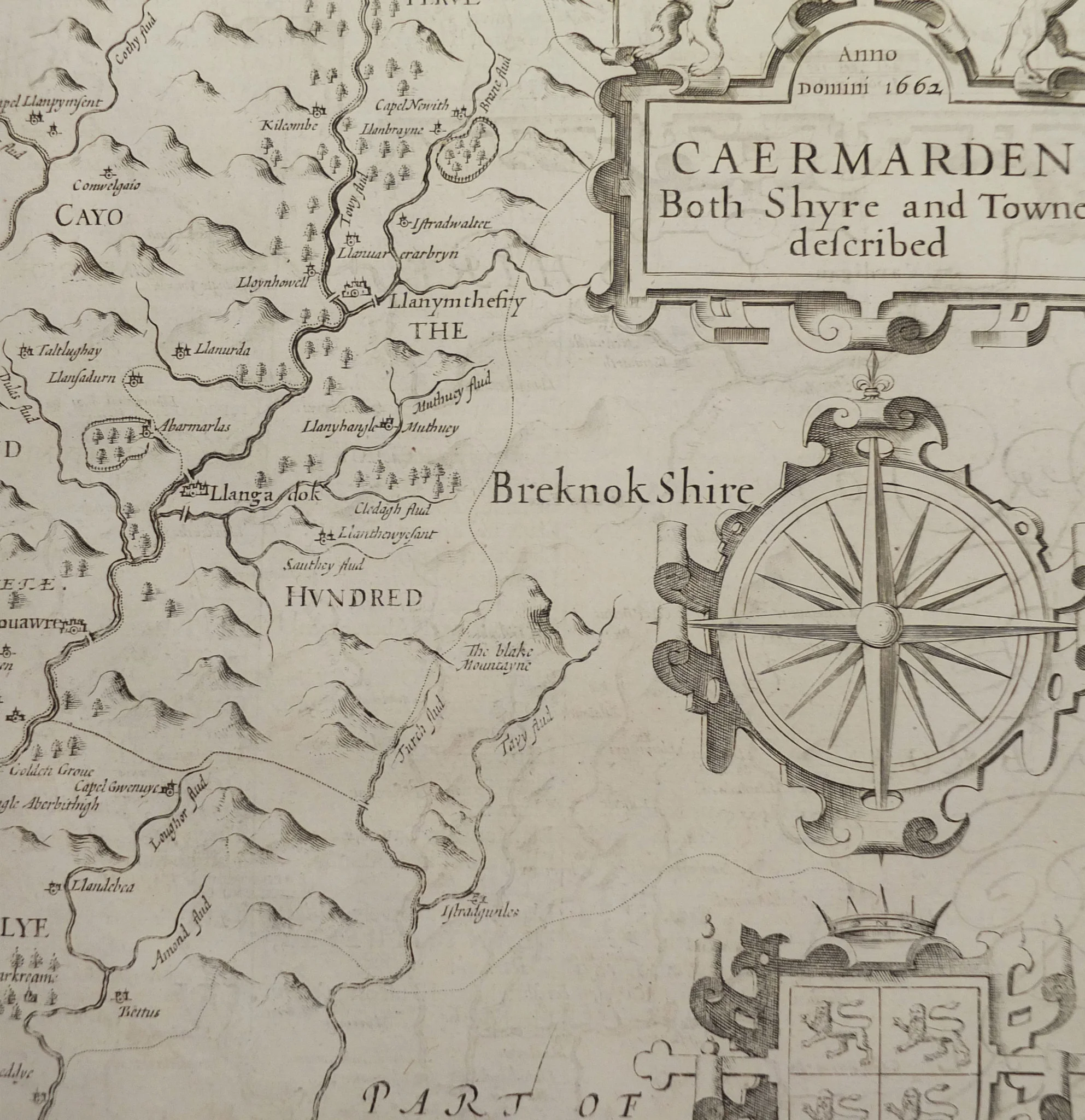 caemarden2.jpg