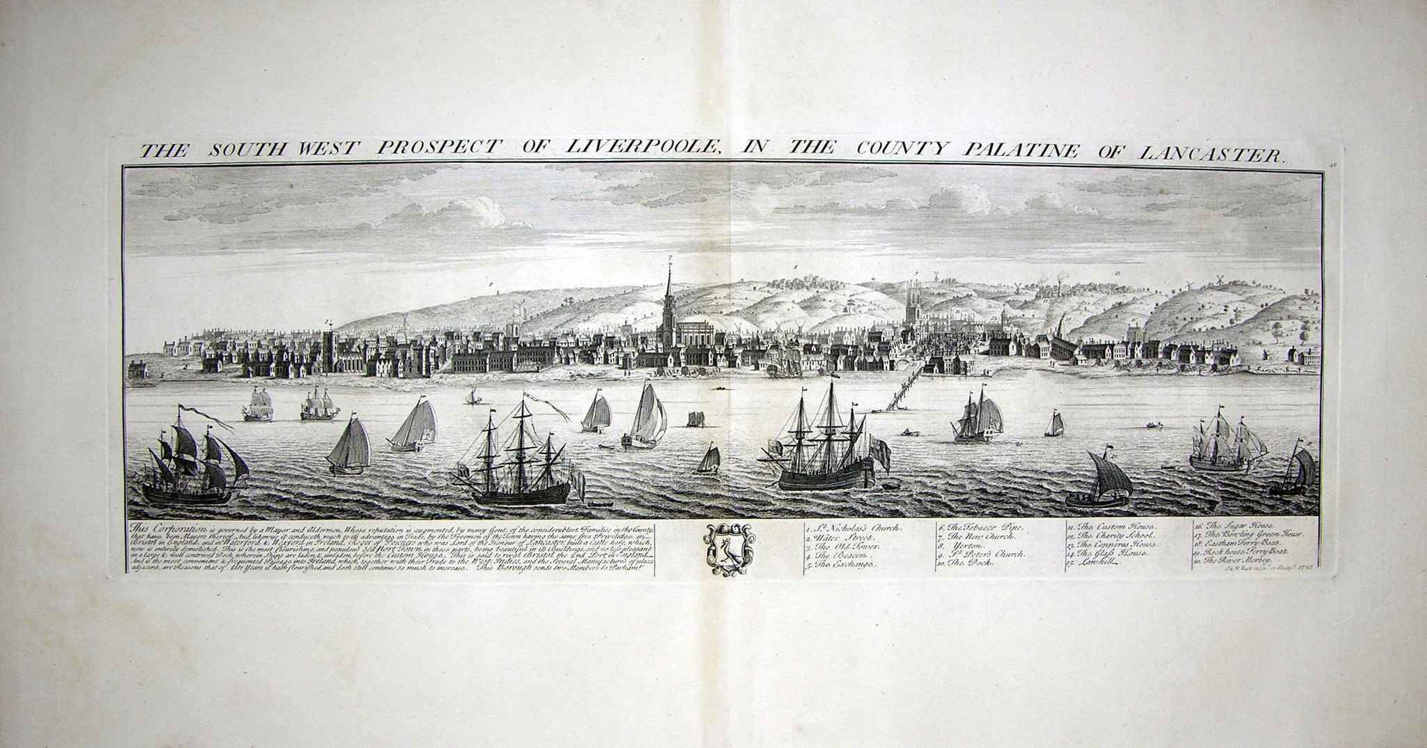 3084794484_ddeb9f82-cdfa-4472-969c-a2e9e0e4d632.jpg