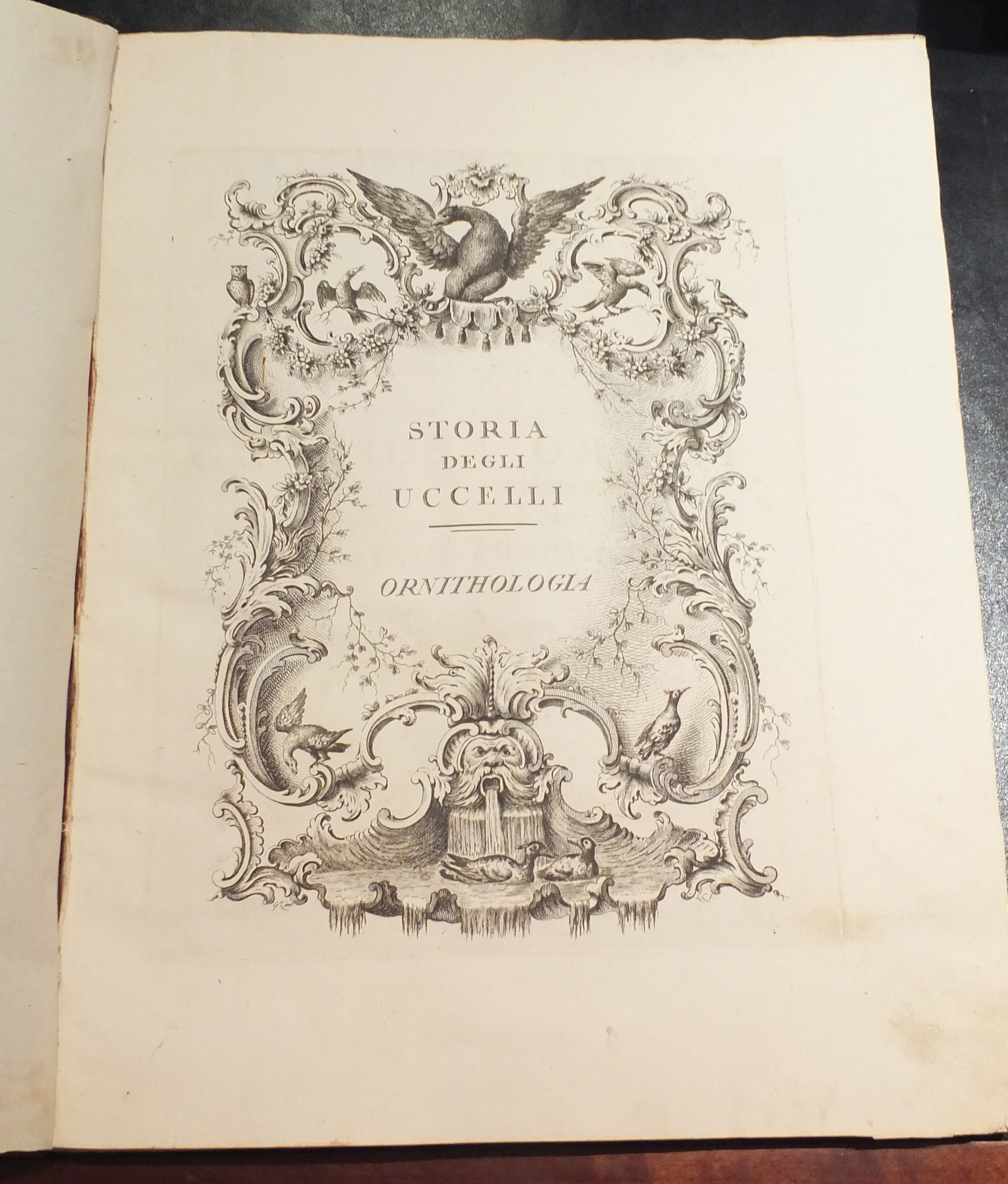manetti_title_page.jpg