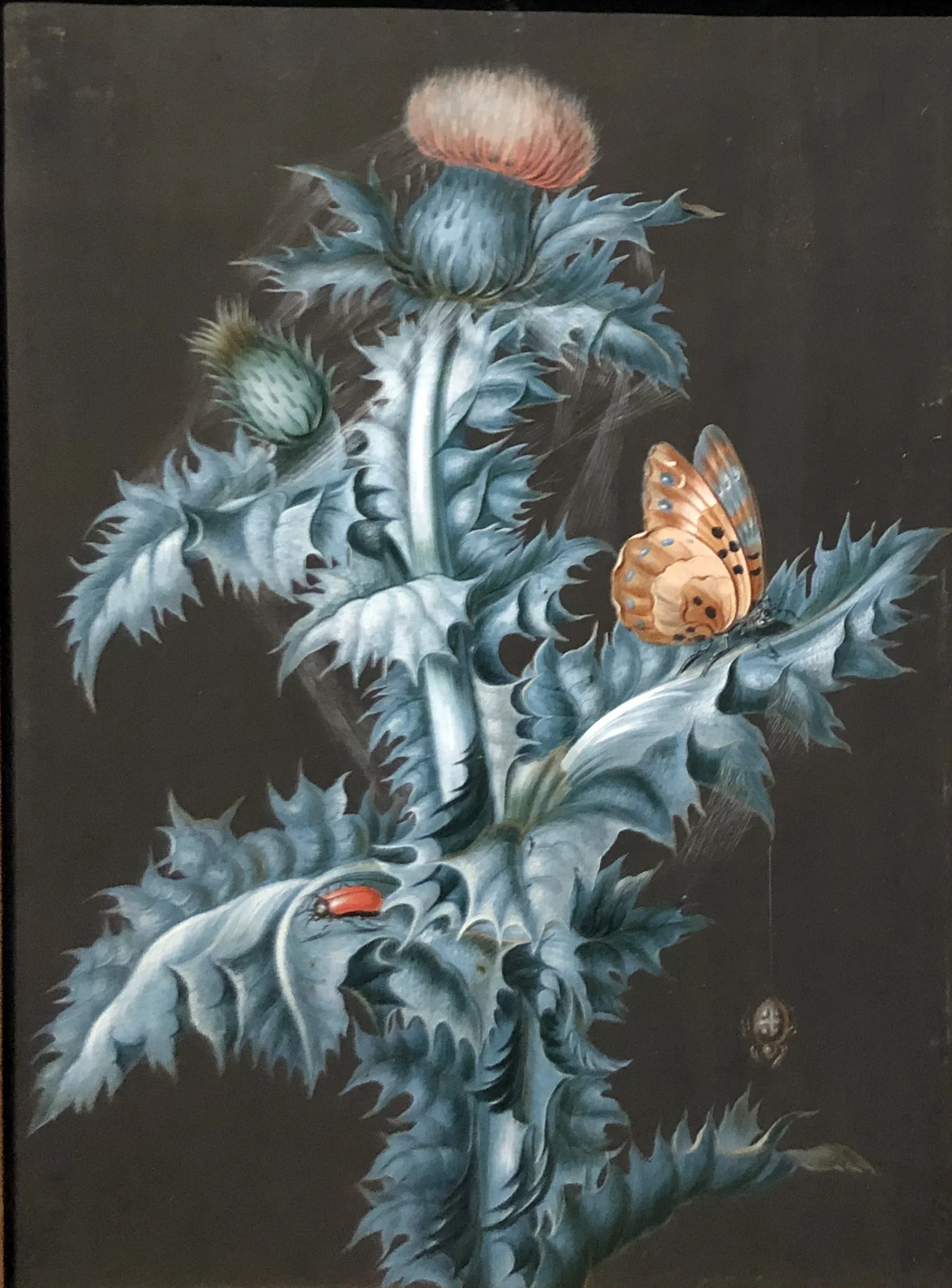 lang_thistle.jpg