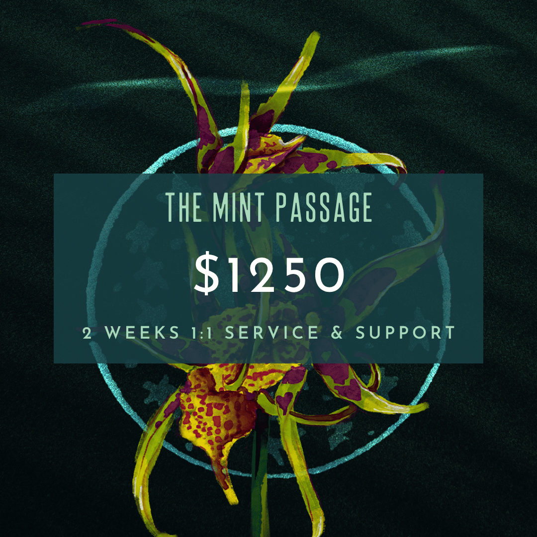 The Mint Passage