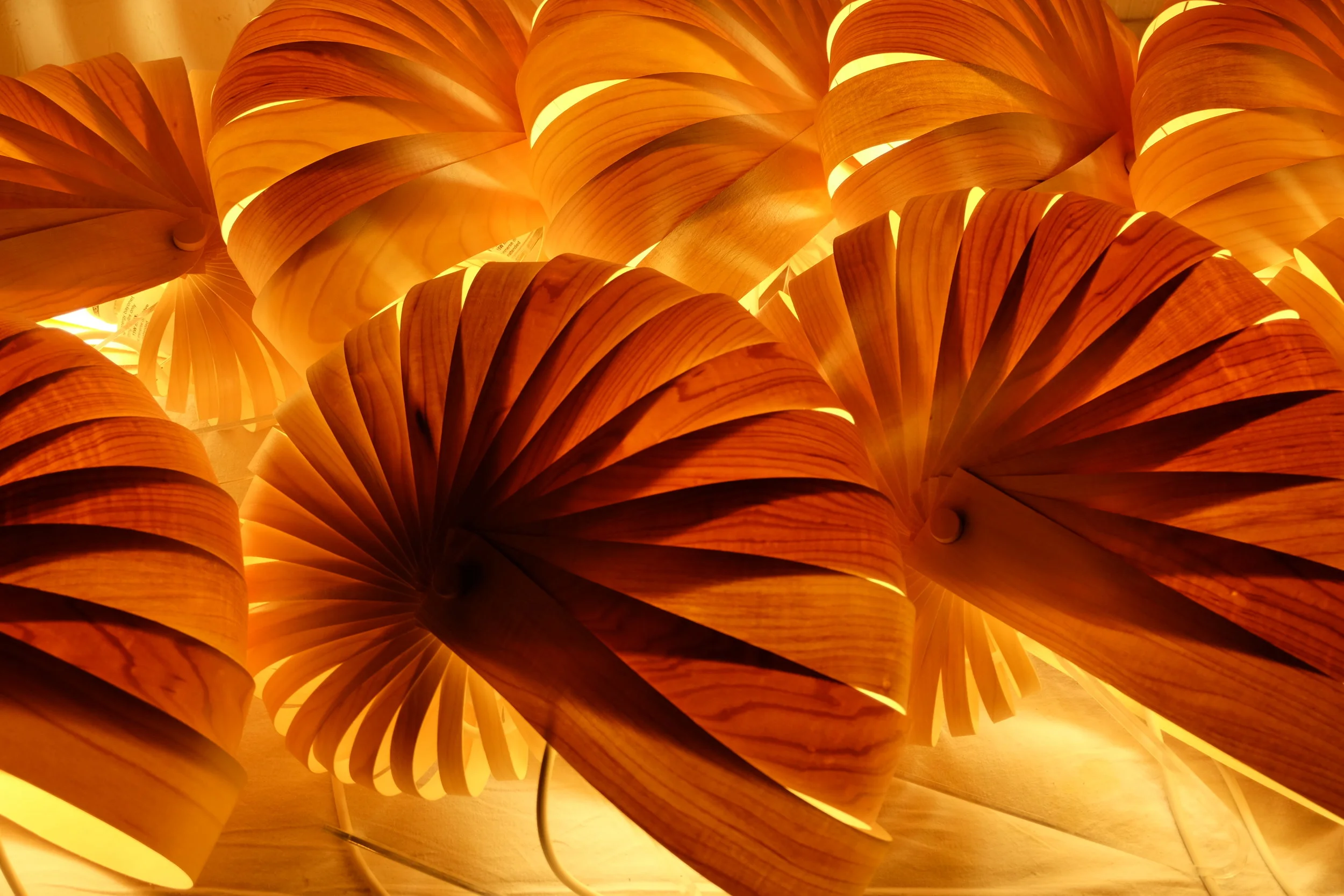 DSCF2934.JPG