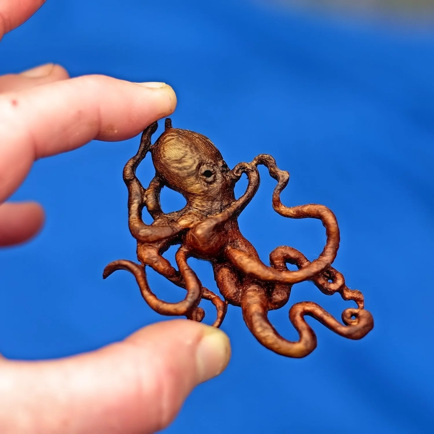 Hand carved octopus brooch - elm ©Fiona Kingdon