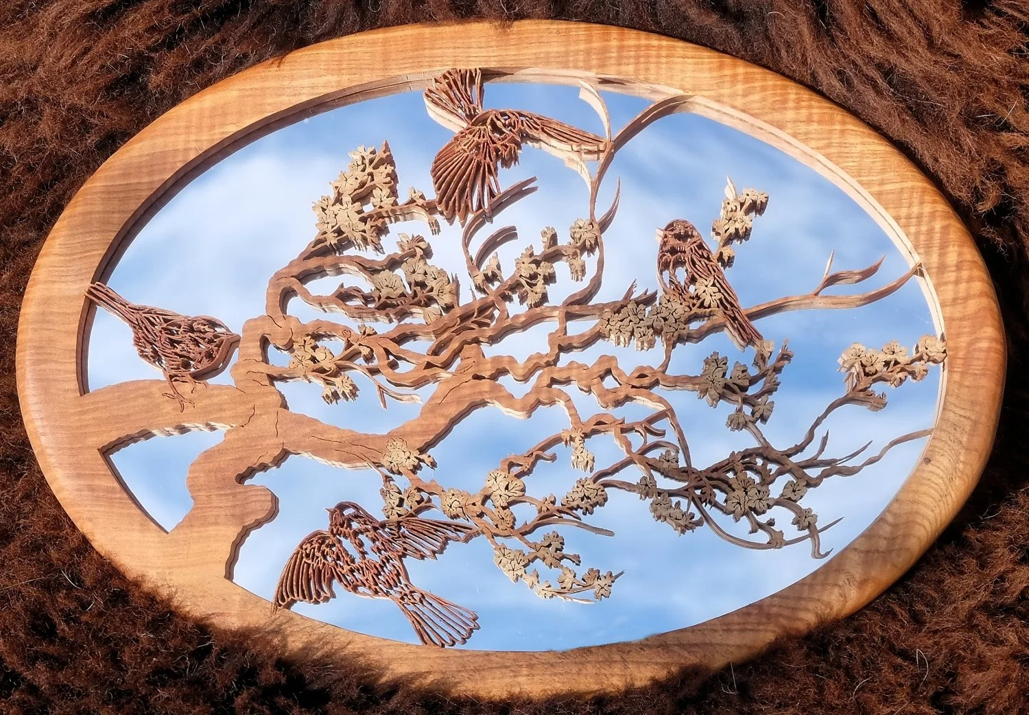 Birds and Blossom ©Fiona Kingdon