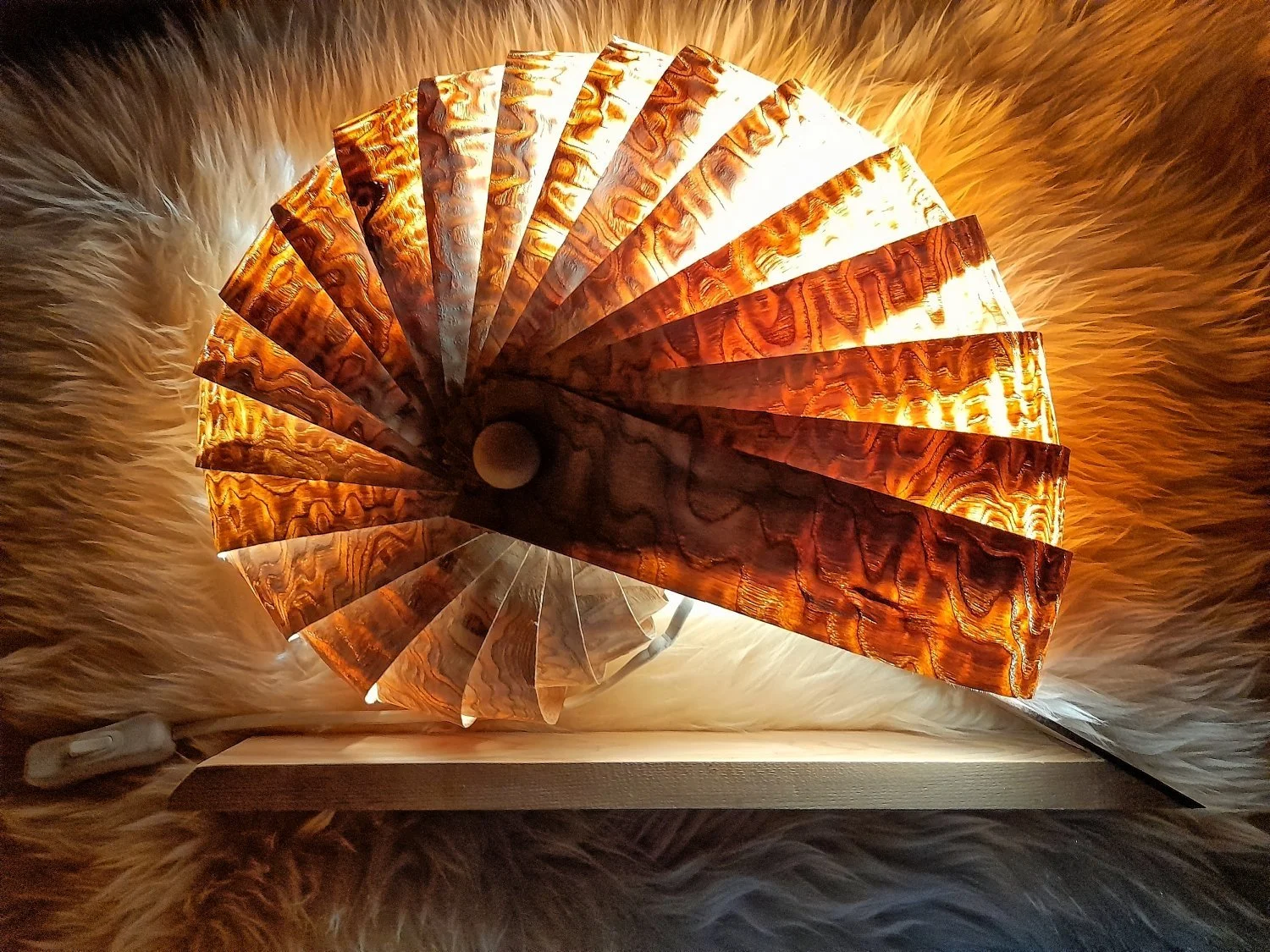 Nautilus lamp