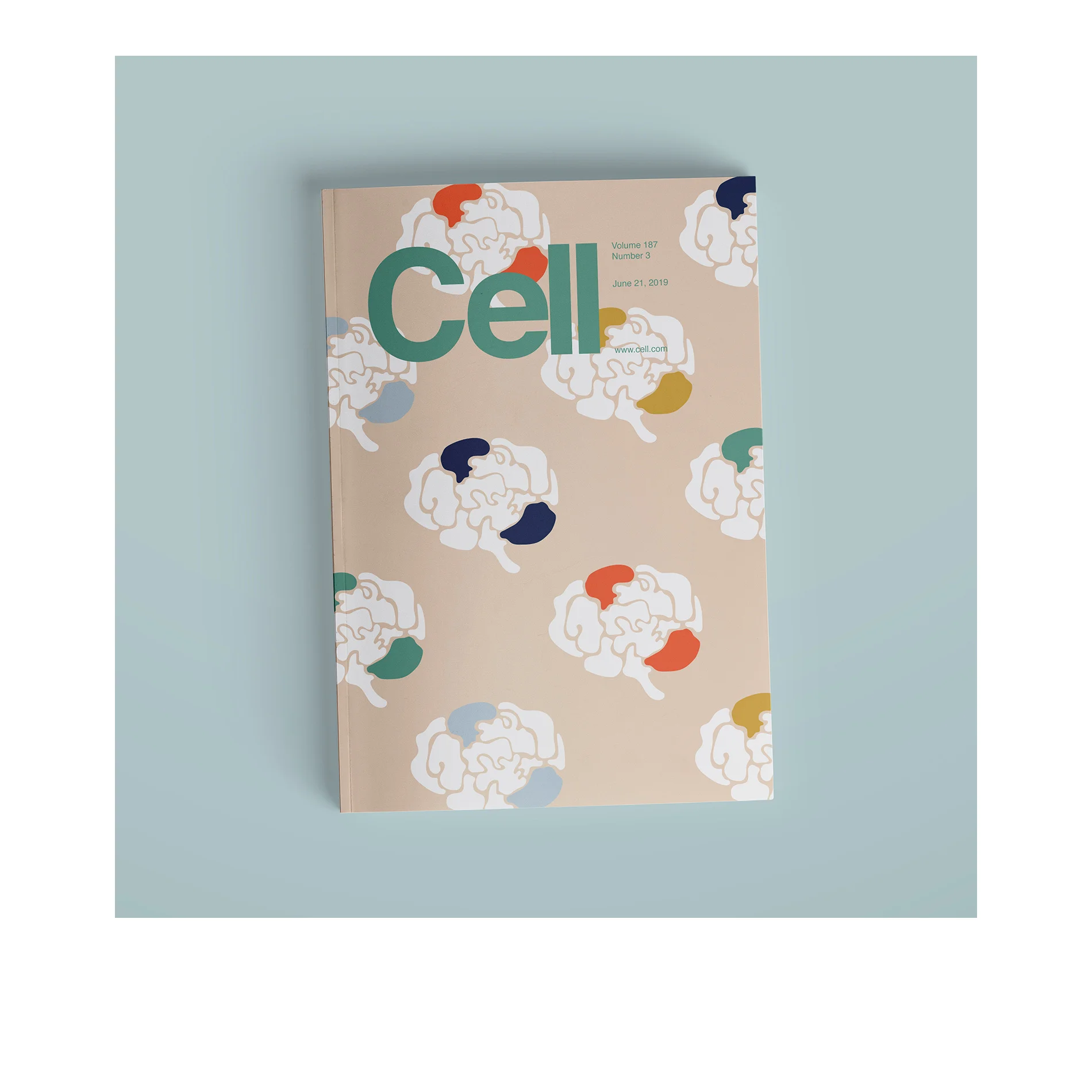 Cell-Journal-Laurie-Berger-illustration-lauren-jane-studio-cover-art-stanford-lab-web-multi.jpg