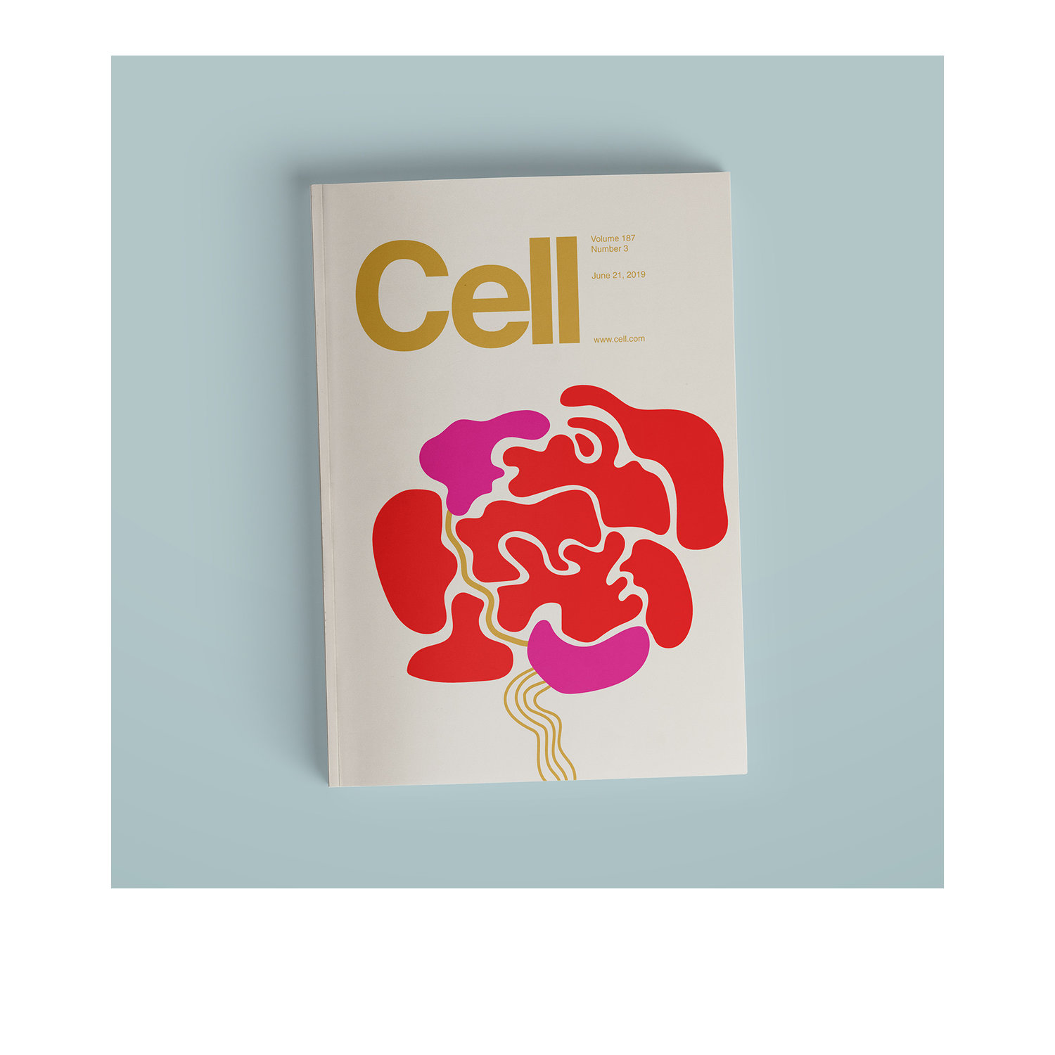 Cell Journal Cover Art — Lauren Jane Studio Brand Design + Illustration