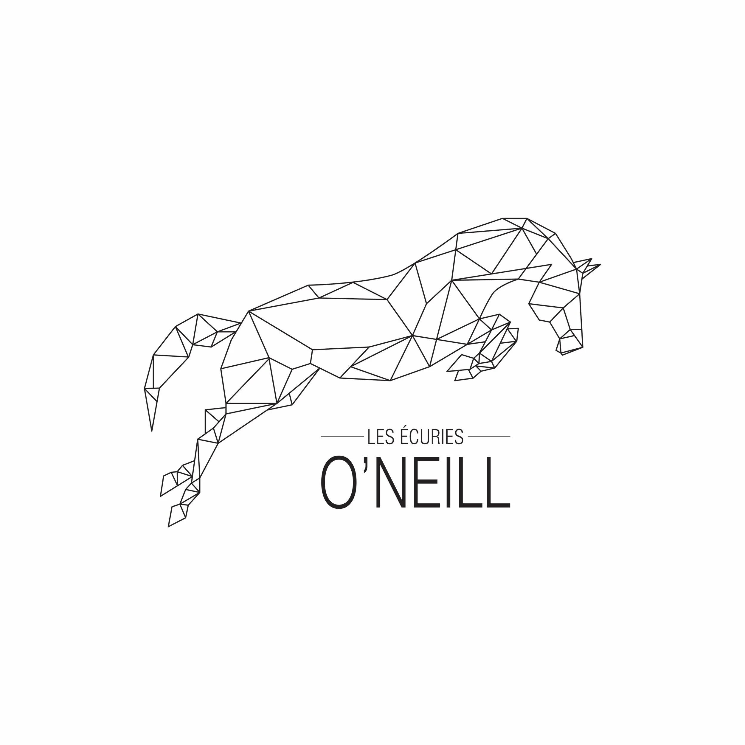 Version2-ONeill-Noir.jpeg
