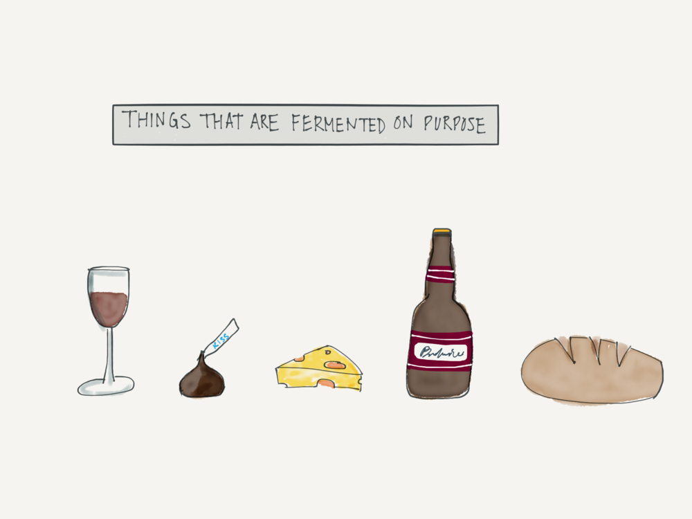 Wine, chocolate, cheese, beer and bread, a few examples of other industries that harness the power of microbes to achieve a desired outcome.