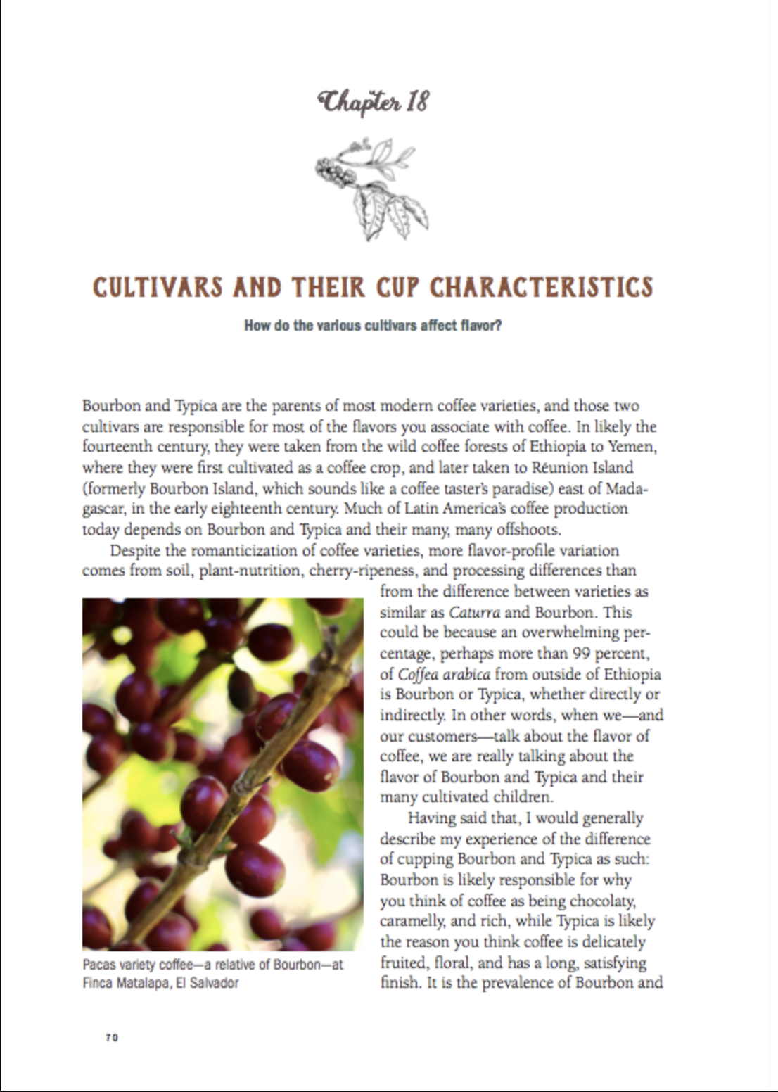 Dear Coffee Buyer Chapter Preview