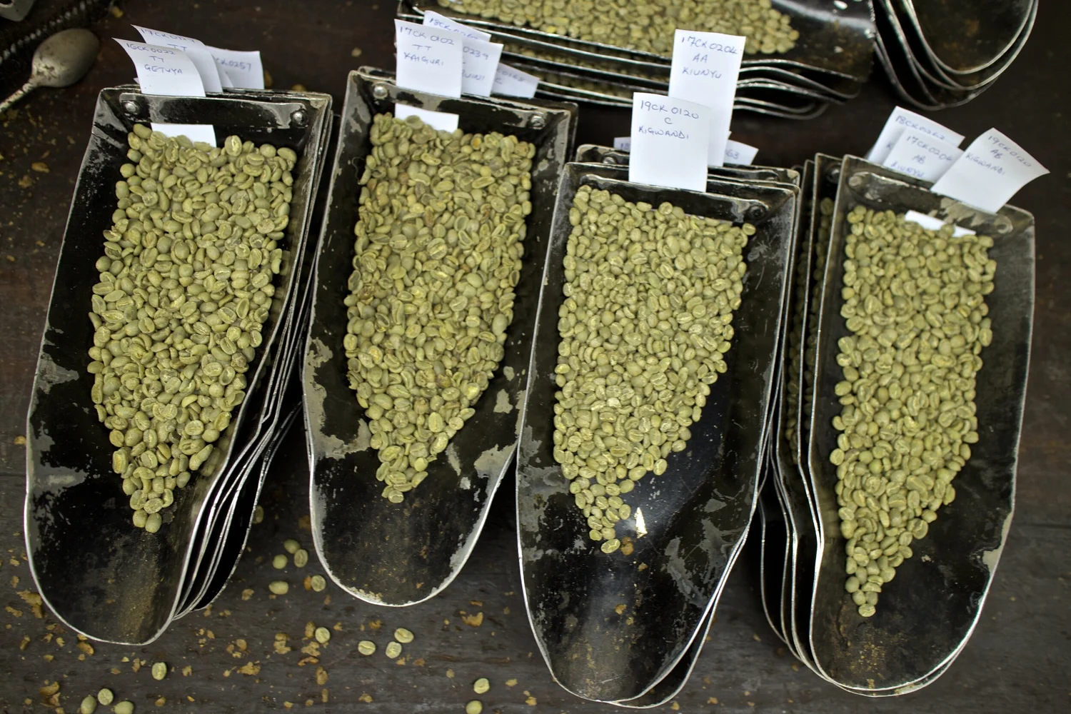 Every Green Buyer’s White Lie