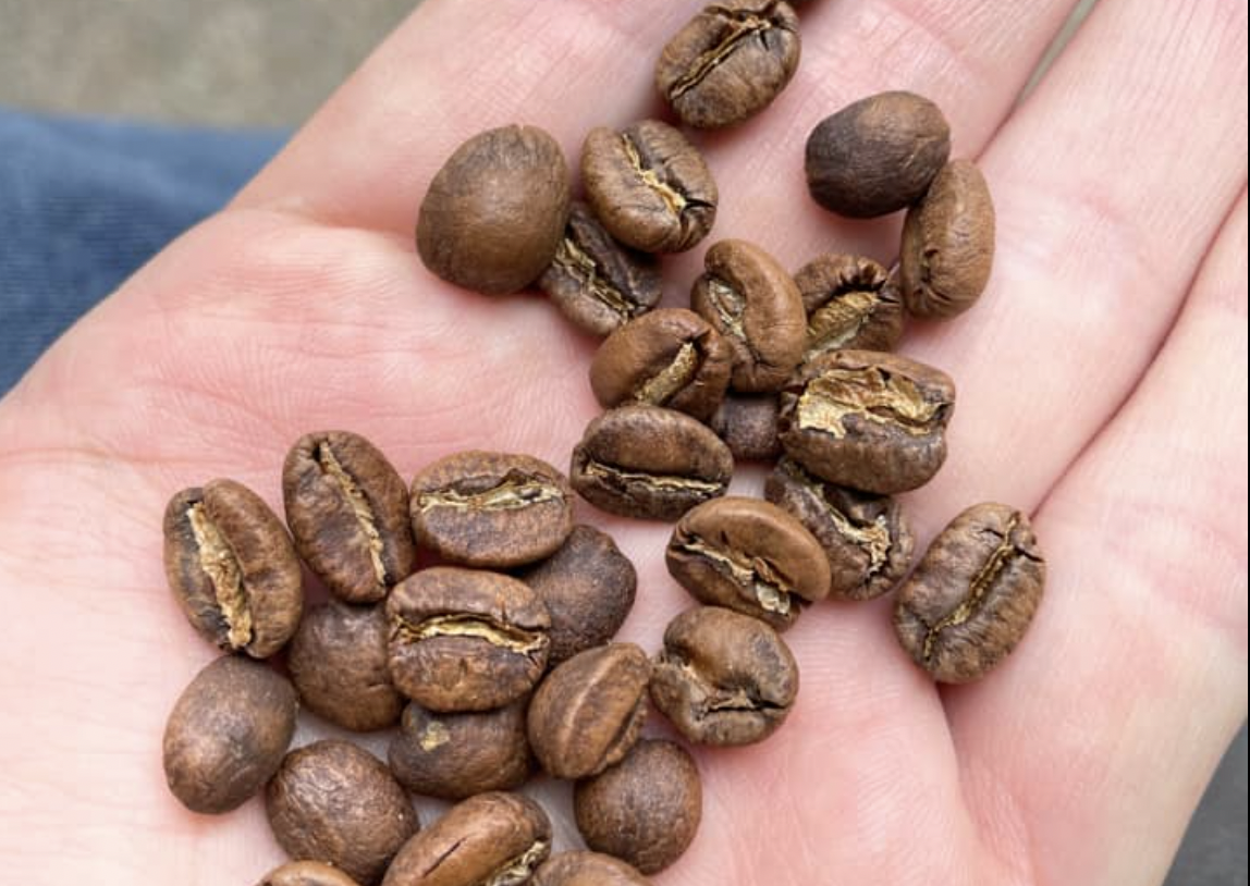 Should you omniroast? The answer is not so simple