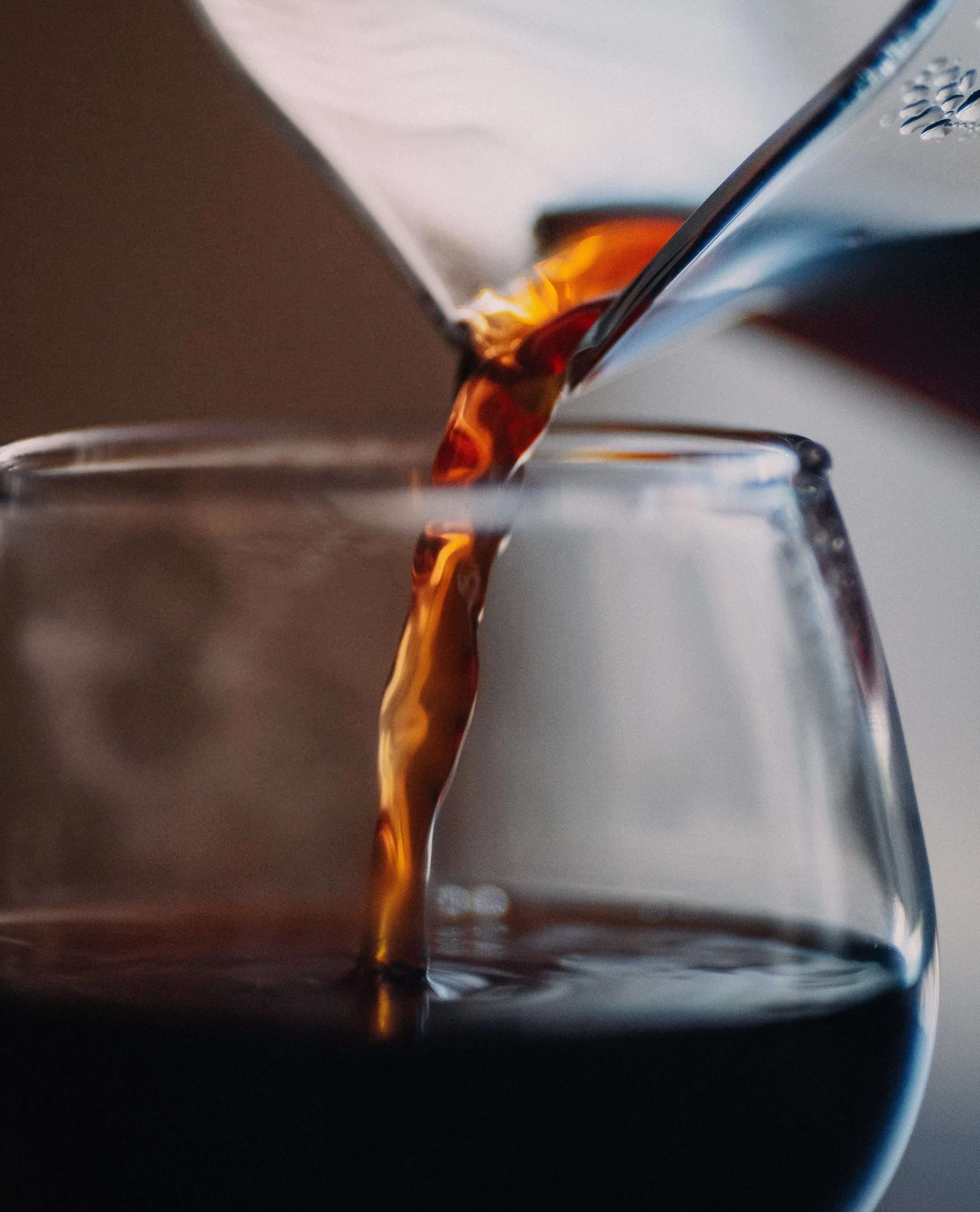 New! Prodigal Monthly Subscription