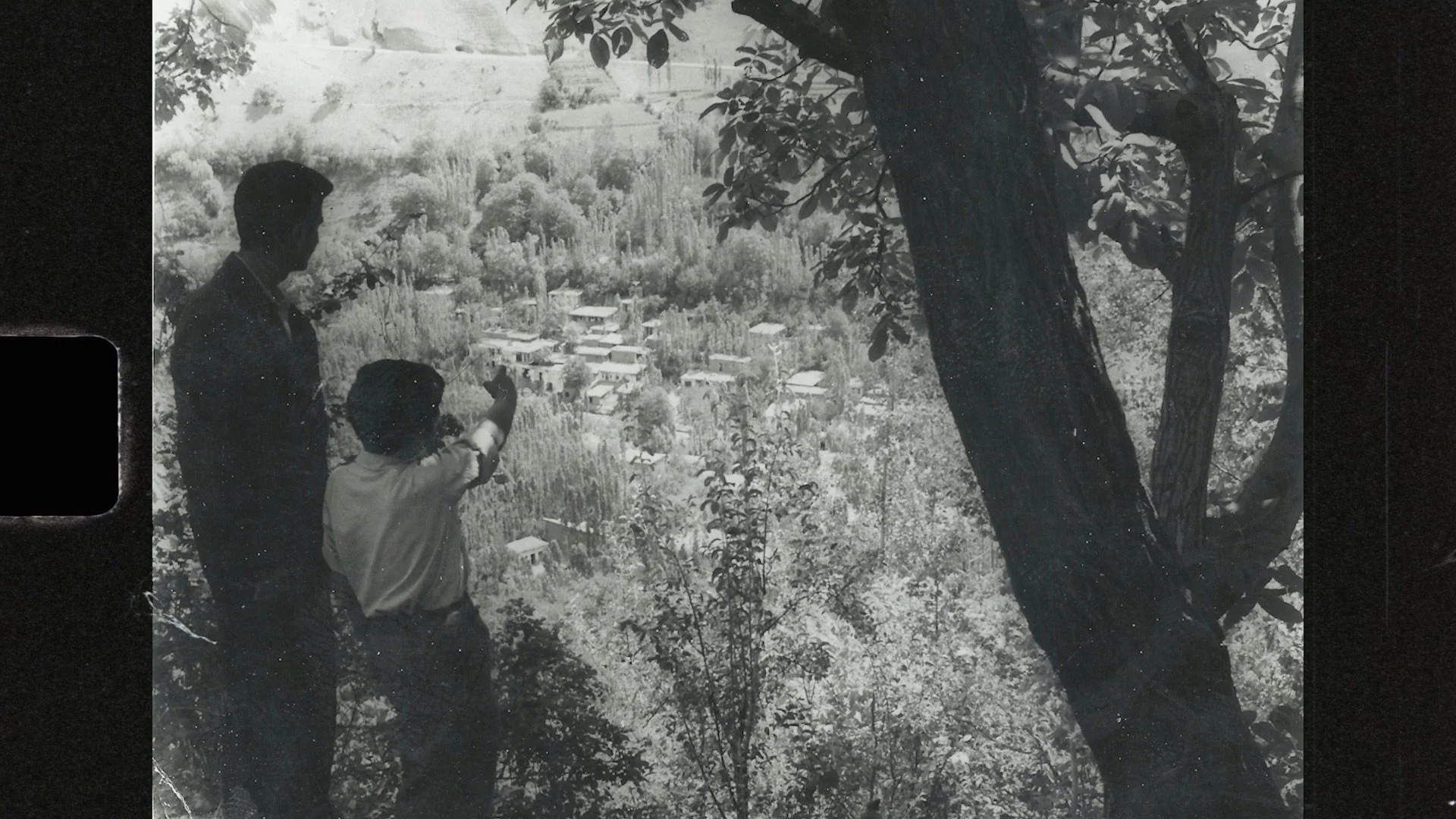 The Walnut of Knowledge 1 - featuring Jamshid Saghari and Mr Mehdi Tabesh.jpeg