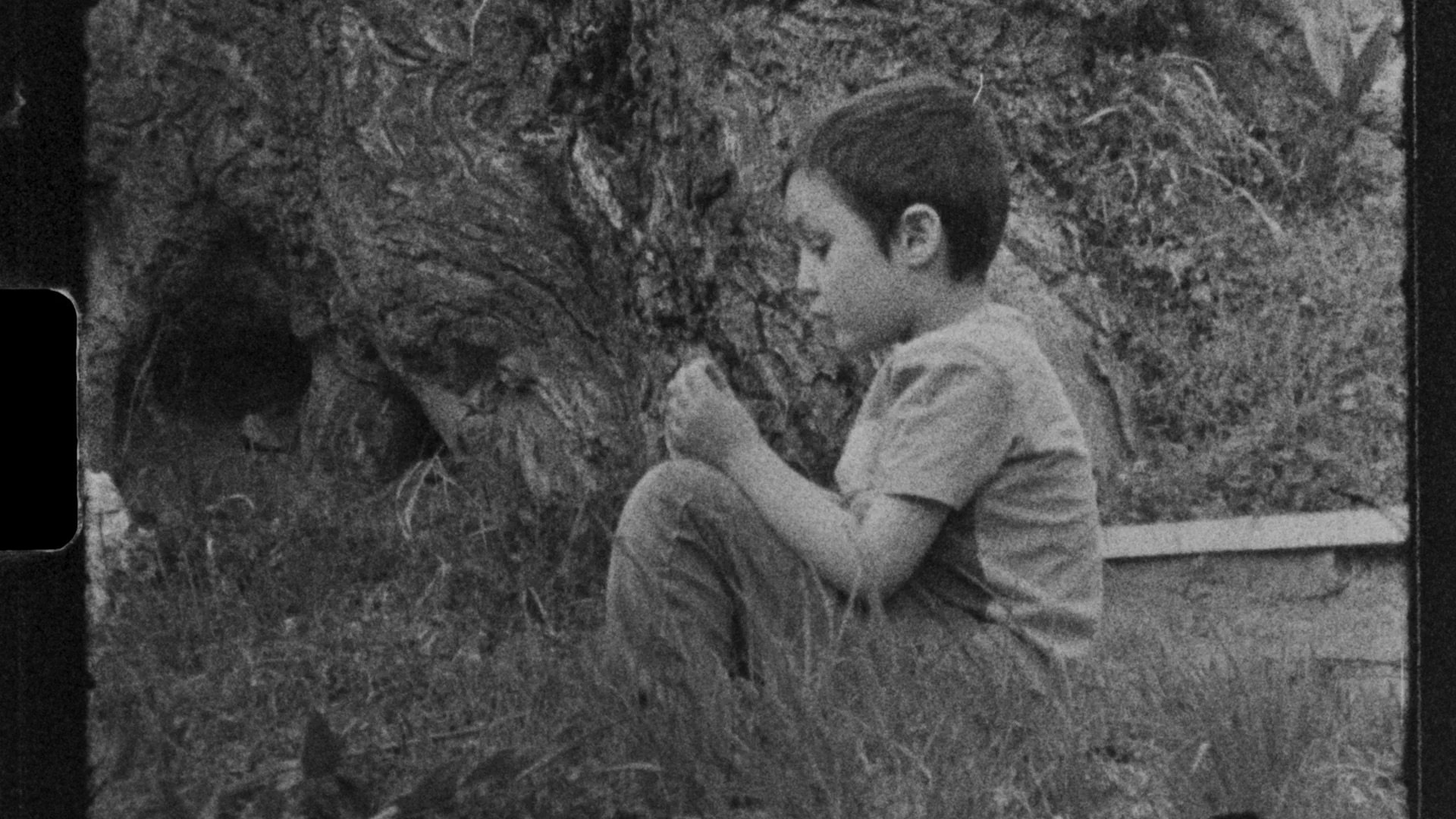 The Walnut of Knowledge 2 - featuring Jonah Sellers.jpeg